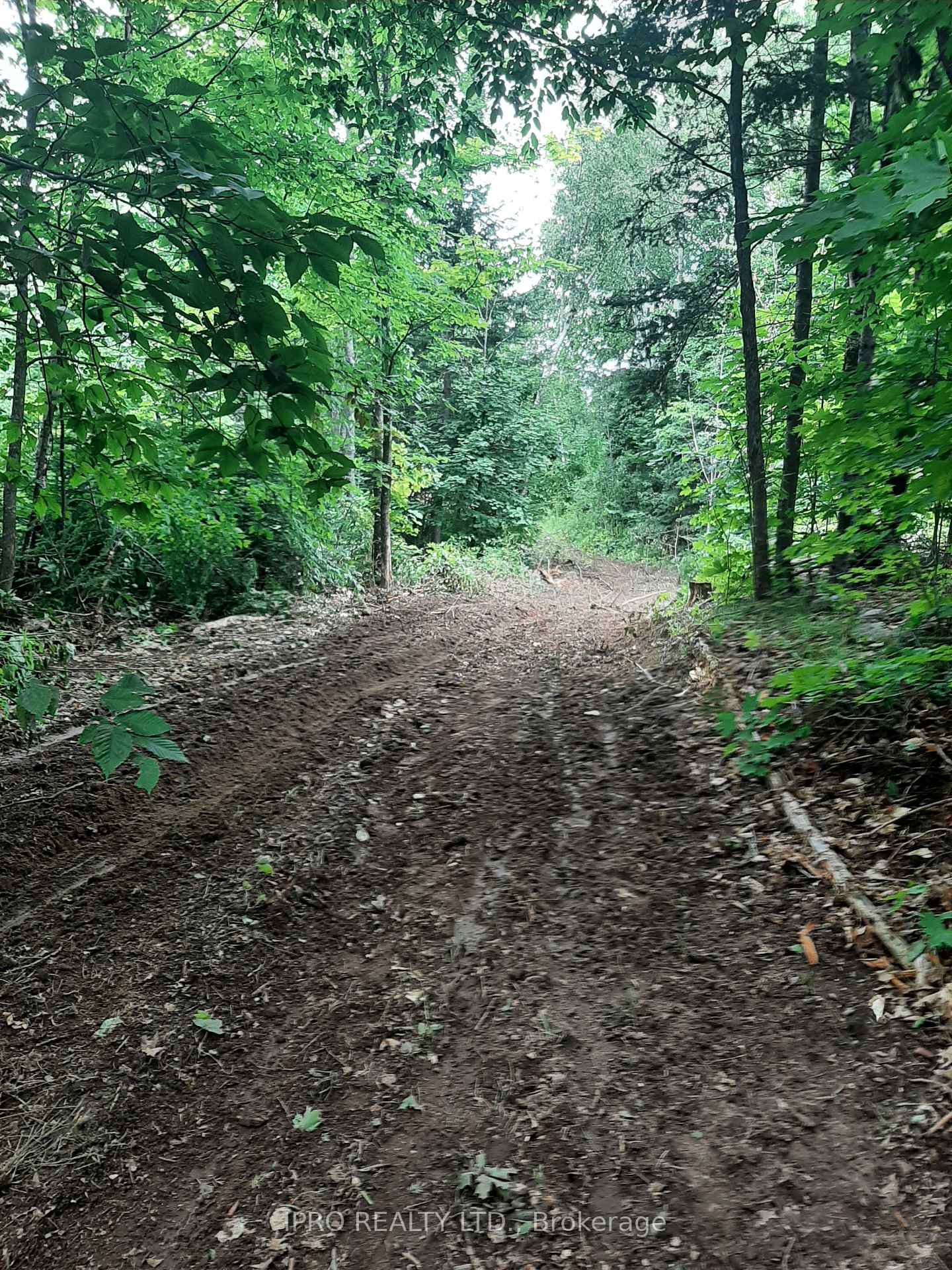 Photo 12 of 6491-B Opeongo Road, Bonnechere Valley, Eganville/Bonnechere Twp — HOMEH