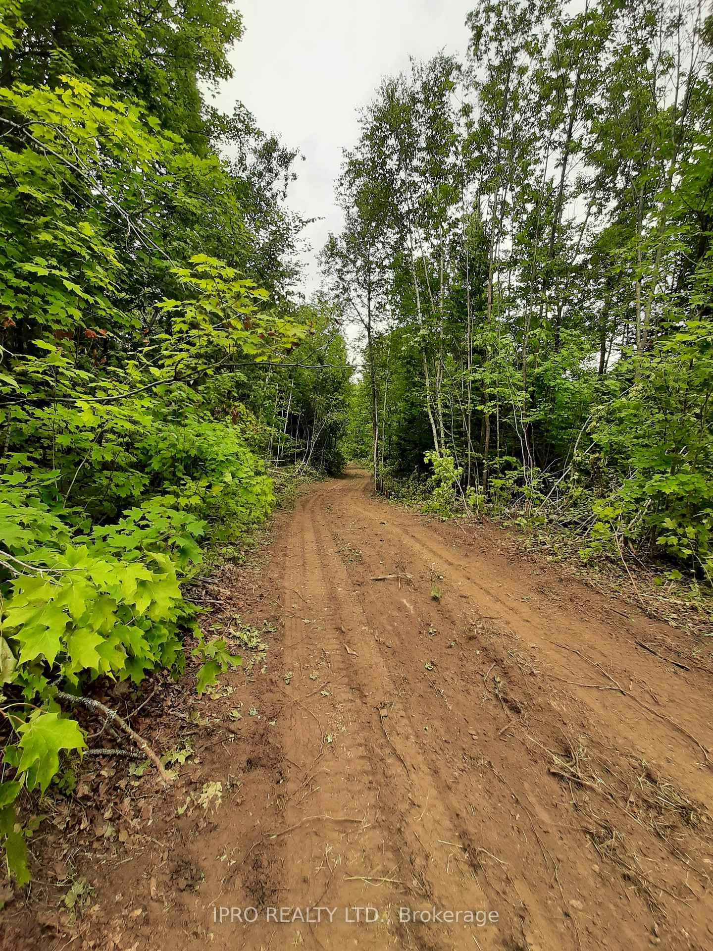 Photo 13 of 6491-B Opeongo Road, Bonnechere Valley, Eganville/Bonnechere Twp — HOMEH