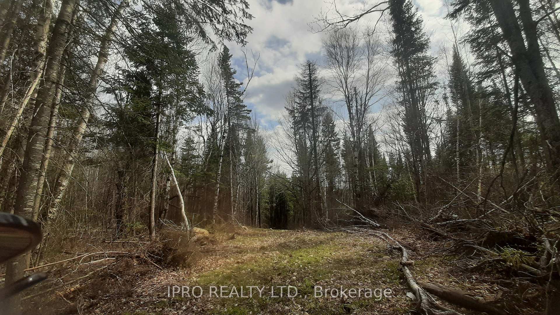 Photo 7 of 6447 Opeongo Road, Bonnechere Valley, Eganville/Bonnechere Twp — HOMEH