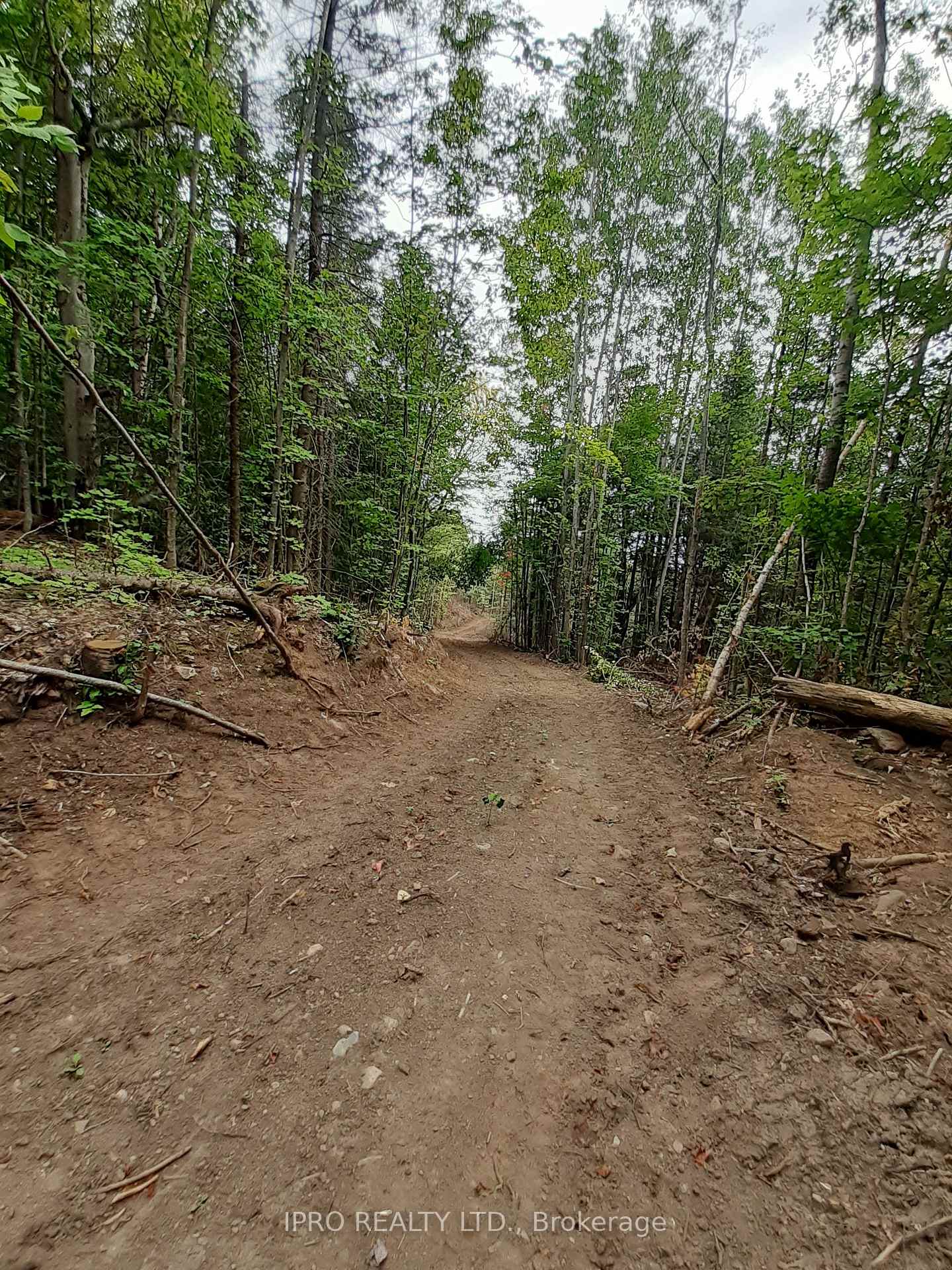Photo 9 of 6447 Opeongo Road, Bonnechere Valley, Eganville/Bonnechere Twp — HOMEH