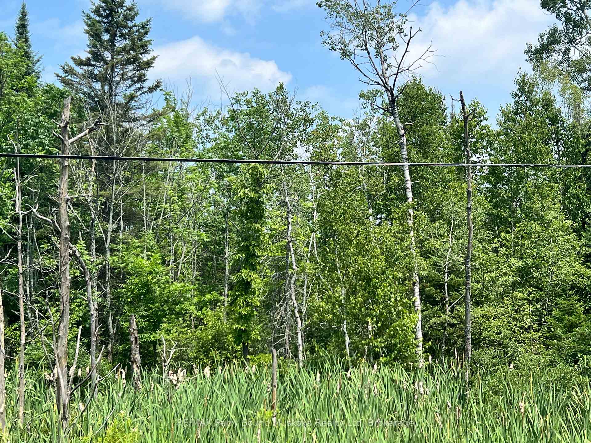 Photo 1 of 00 Hwy 124/520, Magnetawan — HOMEH