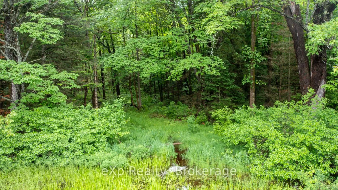 Photo 14 of 3 Kingfisher Road, McDougall — HOMEH