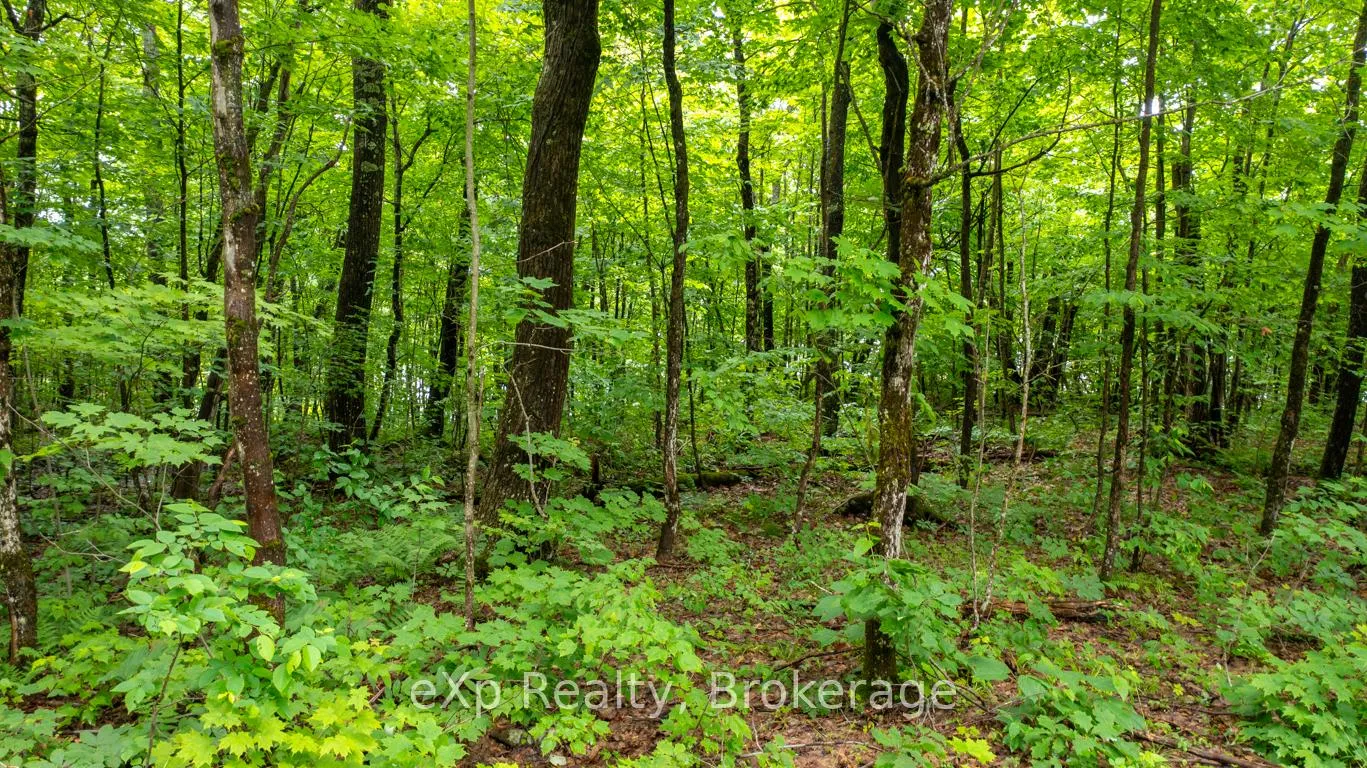 Photo 17 of 3 Kingfisher Road, McDougall — HOMEH