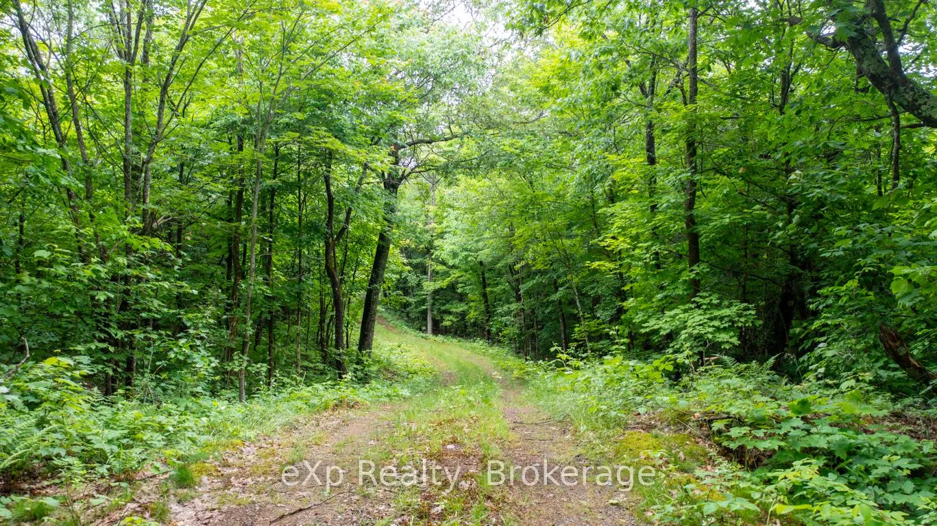 Photo 18 of 3 Kingfisher Road, McDougall — HOMEH