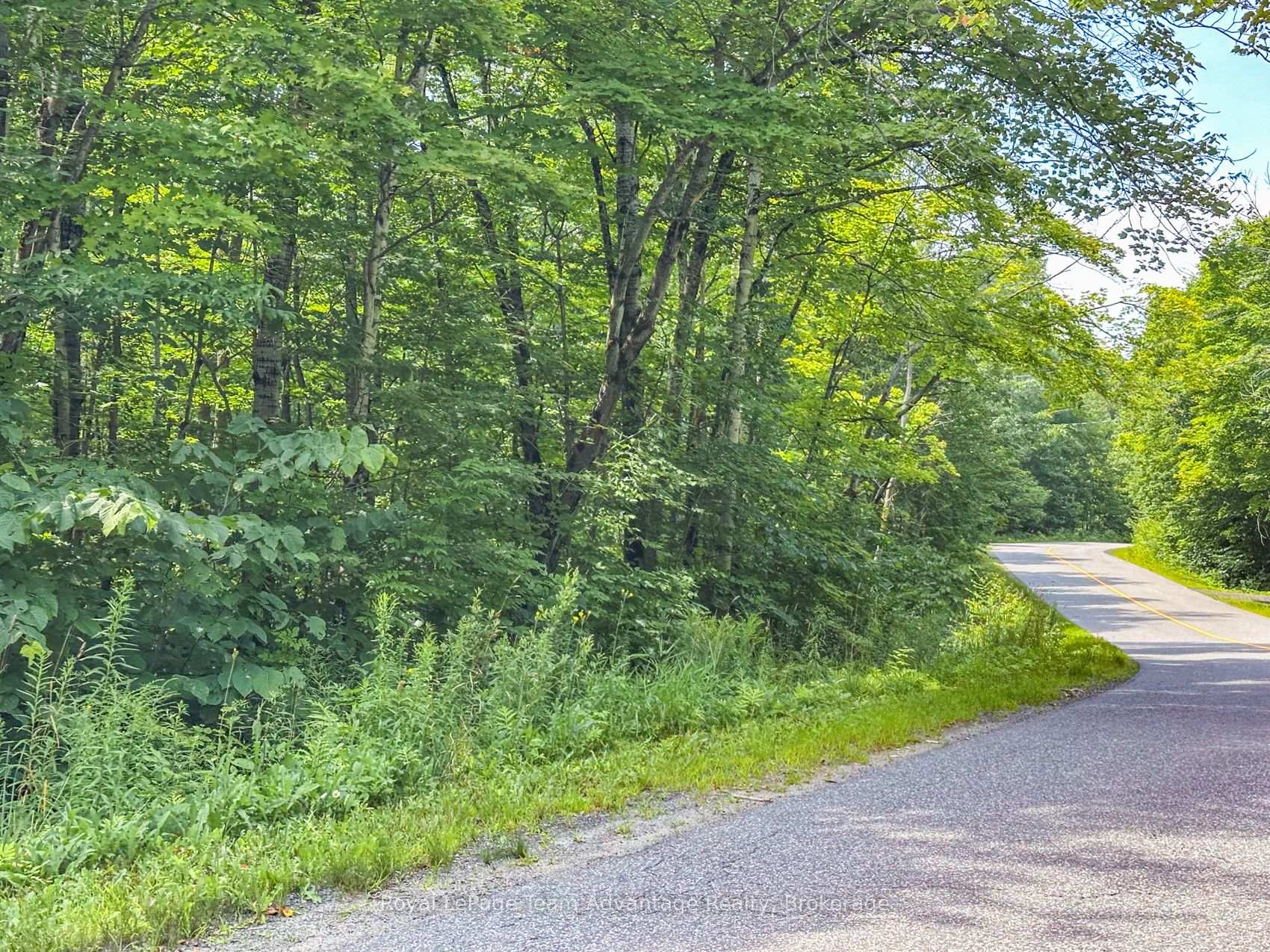 Photo 12 of 25 Long Lake Estates - Part 1 Road, Central Frontenac, Frontenac Centre — HOMEH