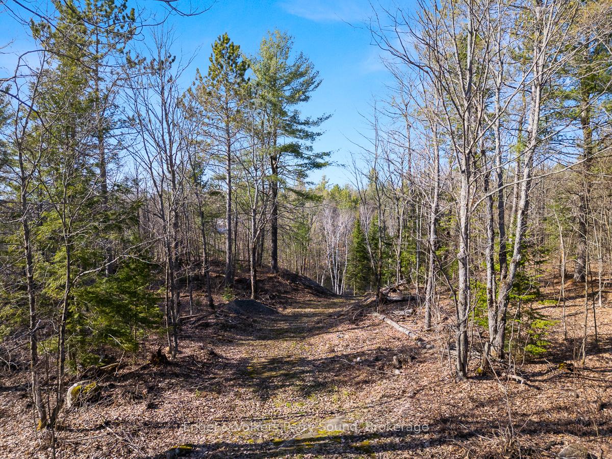 Photo 14 of 703 Bunny Trail, Whitestone — HOMEH