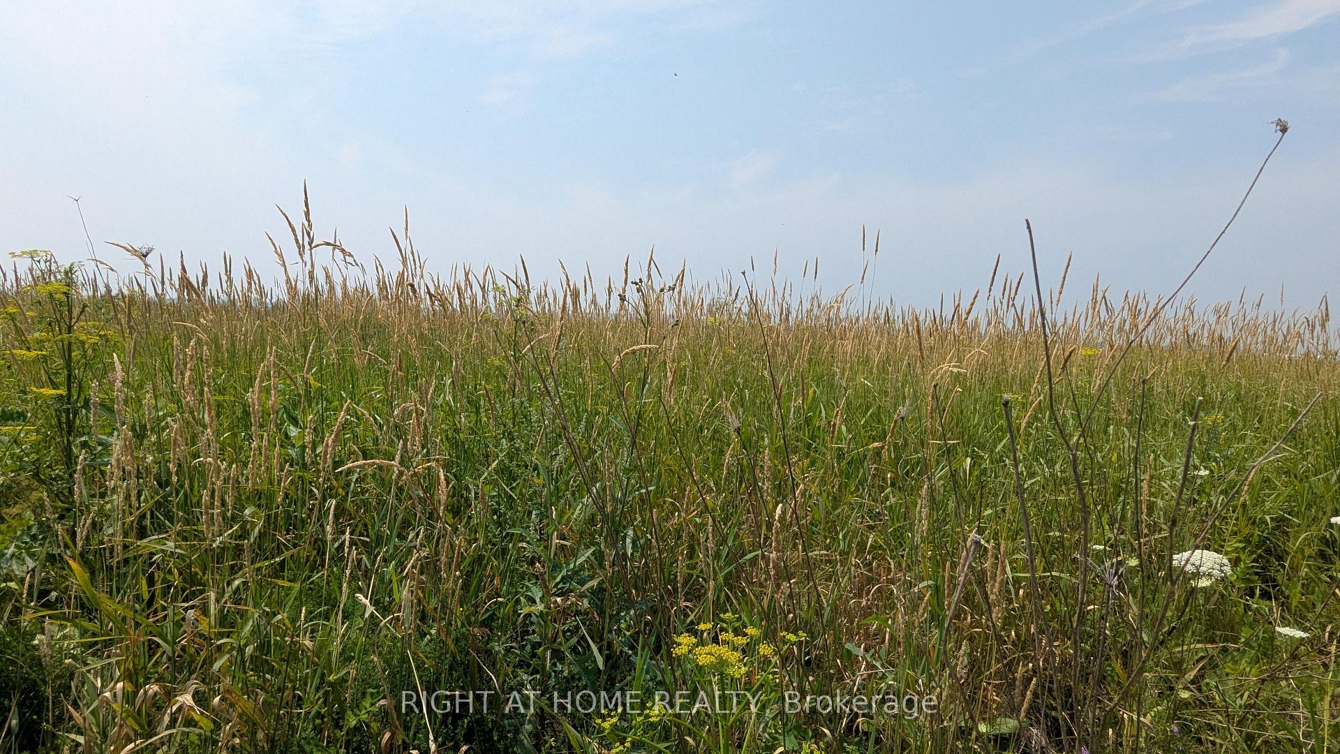 Photo 4 of 3266 Sarsfield Road N, Ottawa, Cumberland West — HOMEH