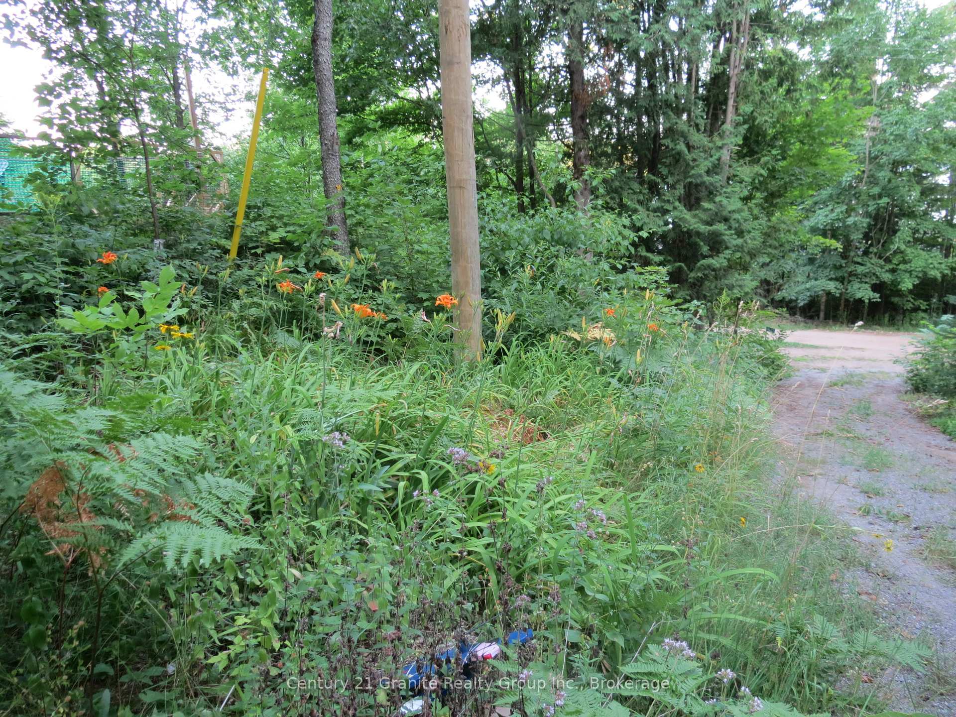 Photo 15 of 1013 Tortoise Drive, Highlands East, Monmouth — HOMEH