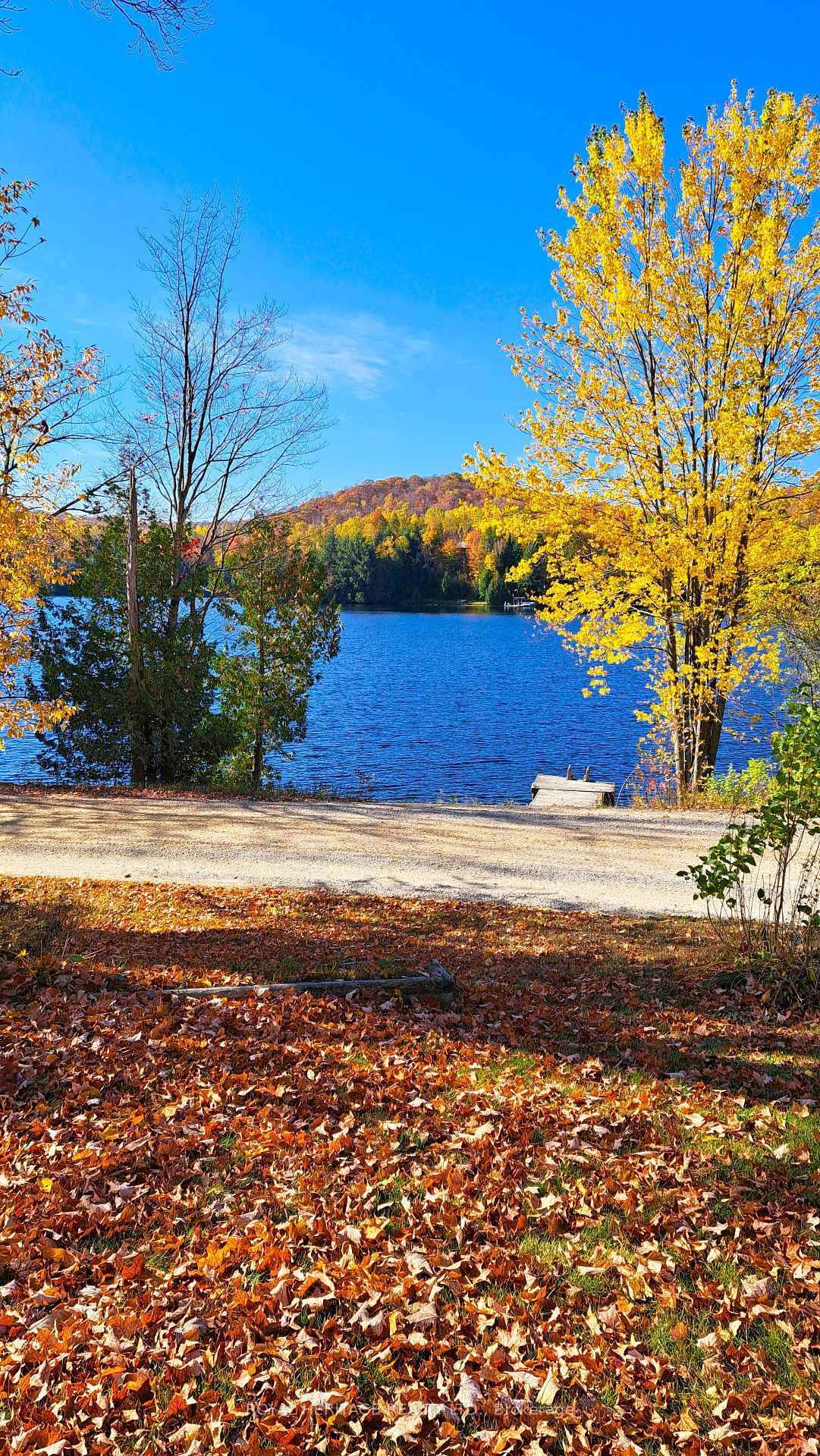 Photo 1 of 256 Trout Lake Road, Faraday — HOMEH