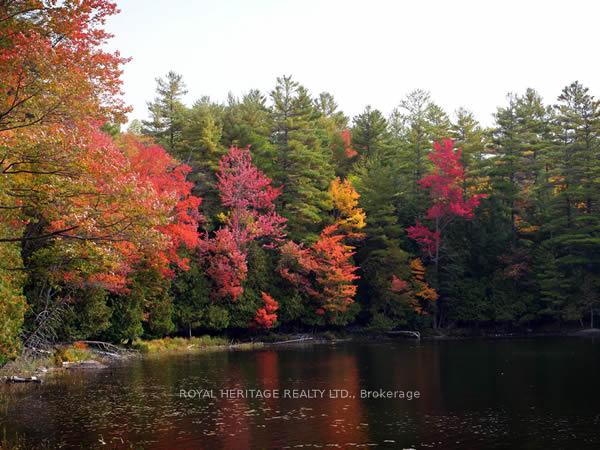 Photo 7 of 256 Trout Lake Road, Faraday — HOMEH