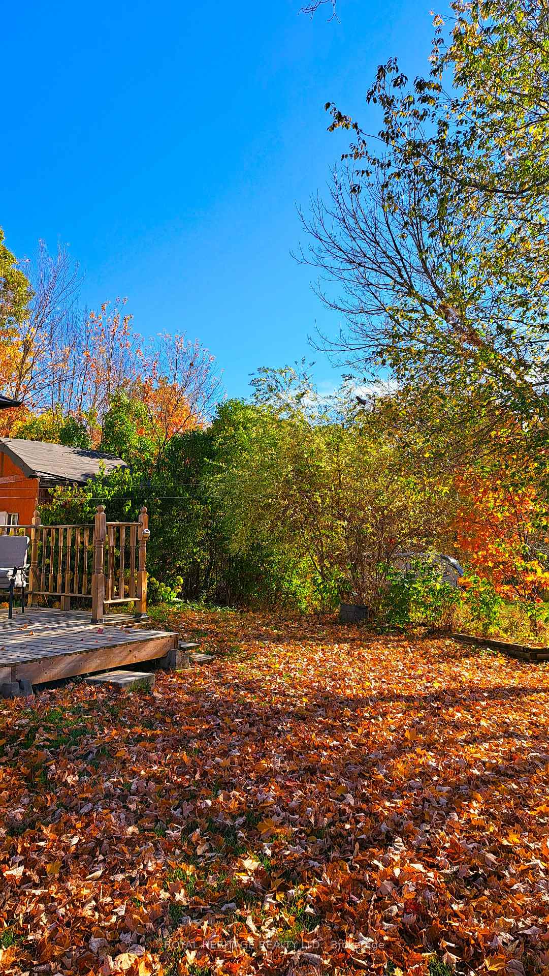 Photo 22 of 256 Trout Lake Road, Faraday — HOMEH