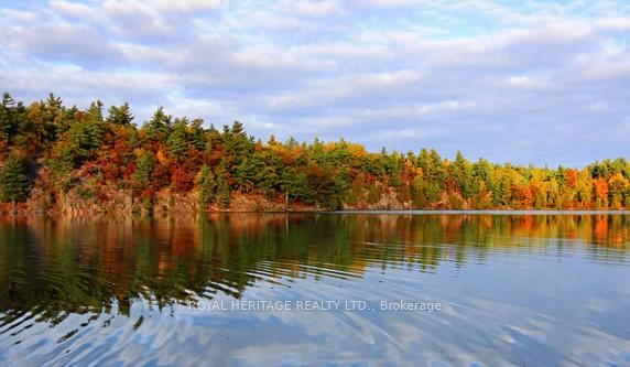 Photo 23 of 256 Trout Lake Road, Faraday — HOMEH