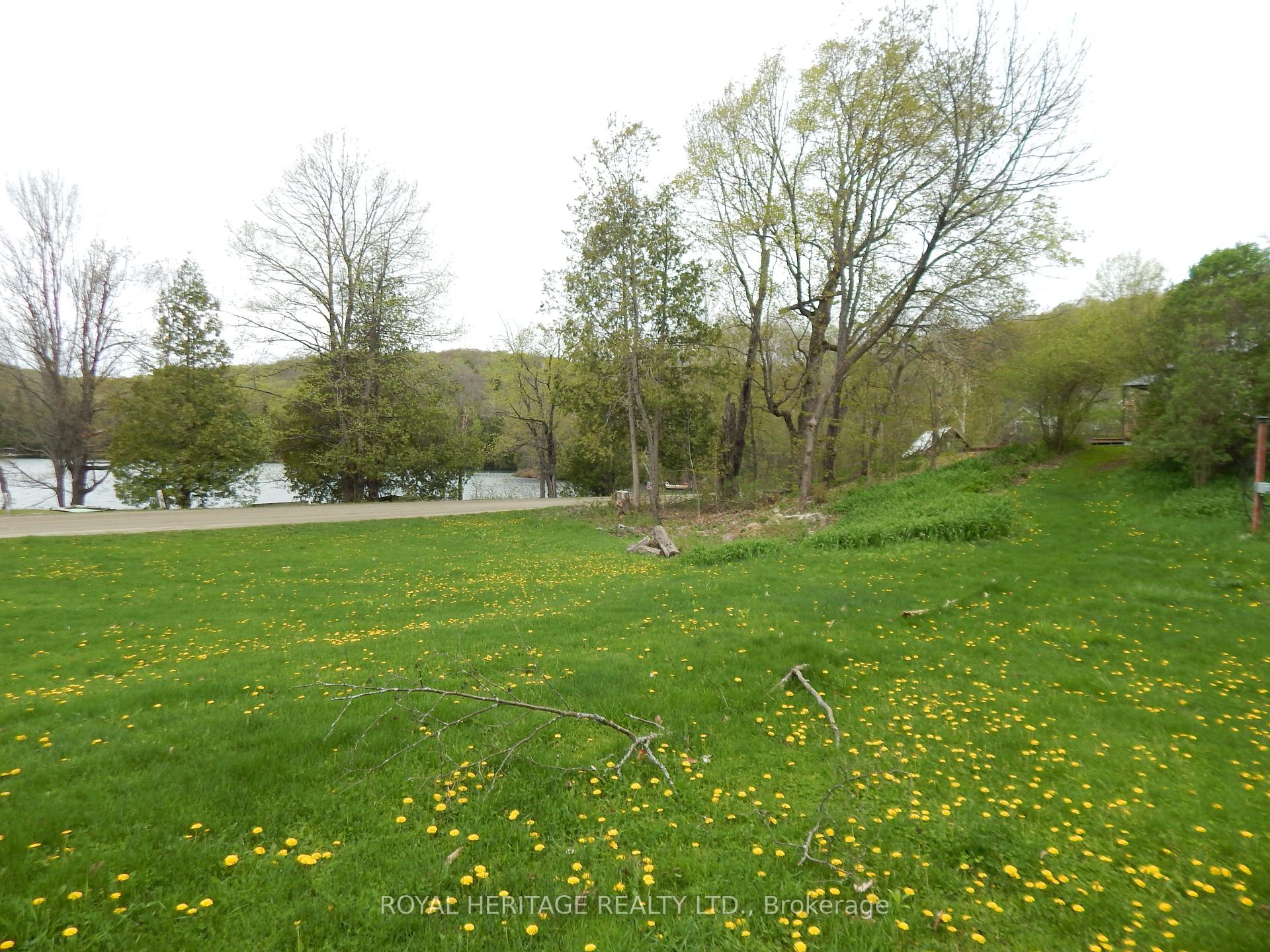 Photo 34 of 256 Trout Lake Road, Faraday — HOMEH