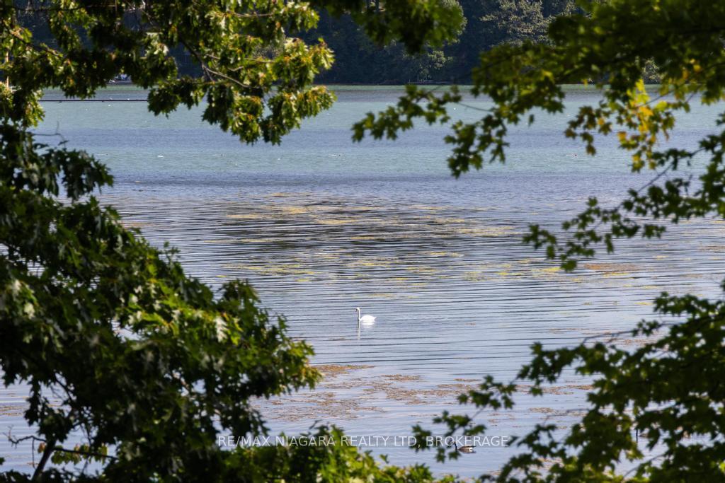 Photo 58 of 24 Golden Boulevard, St. Catharines, Martindale Pond — HOMEH