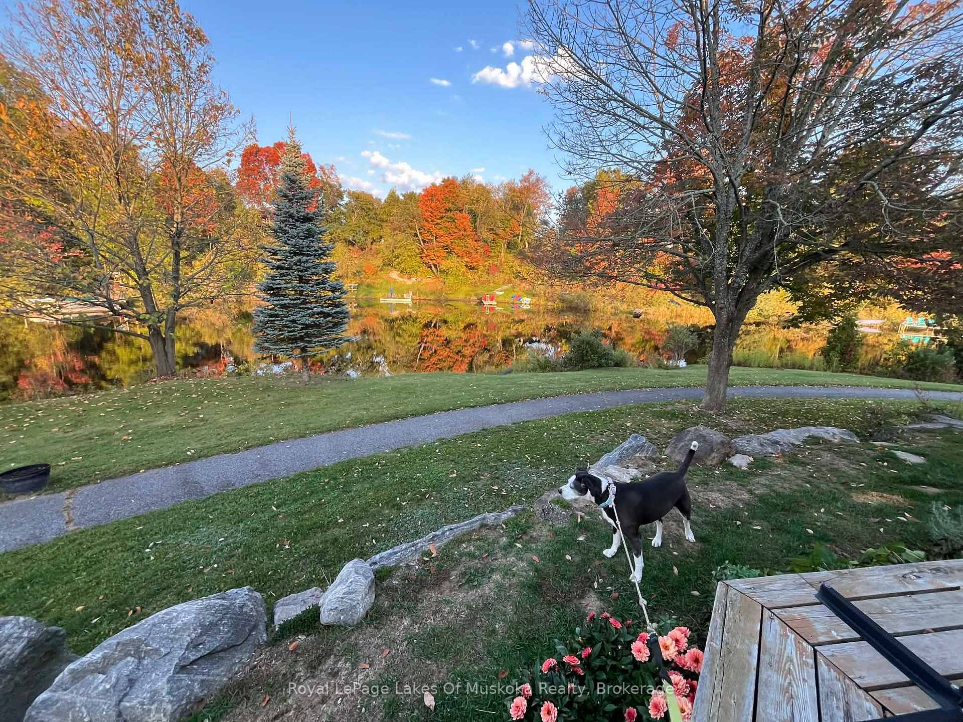 Photo 37 of 55 Shoreline Drive, Bracebridge, Macaulay — HOMEH