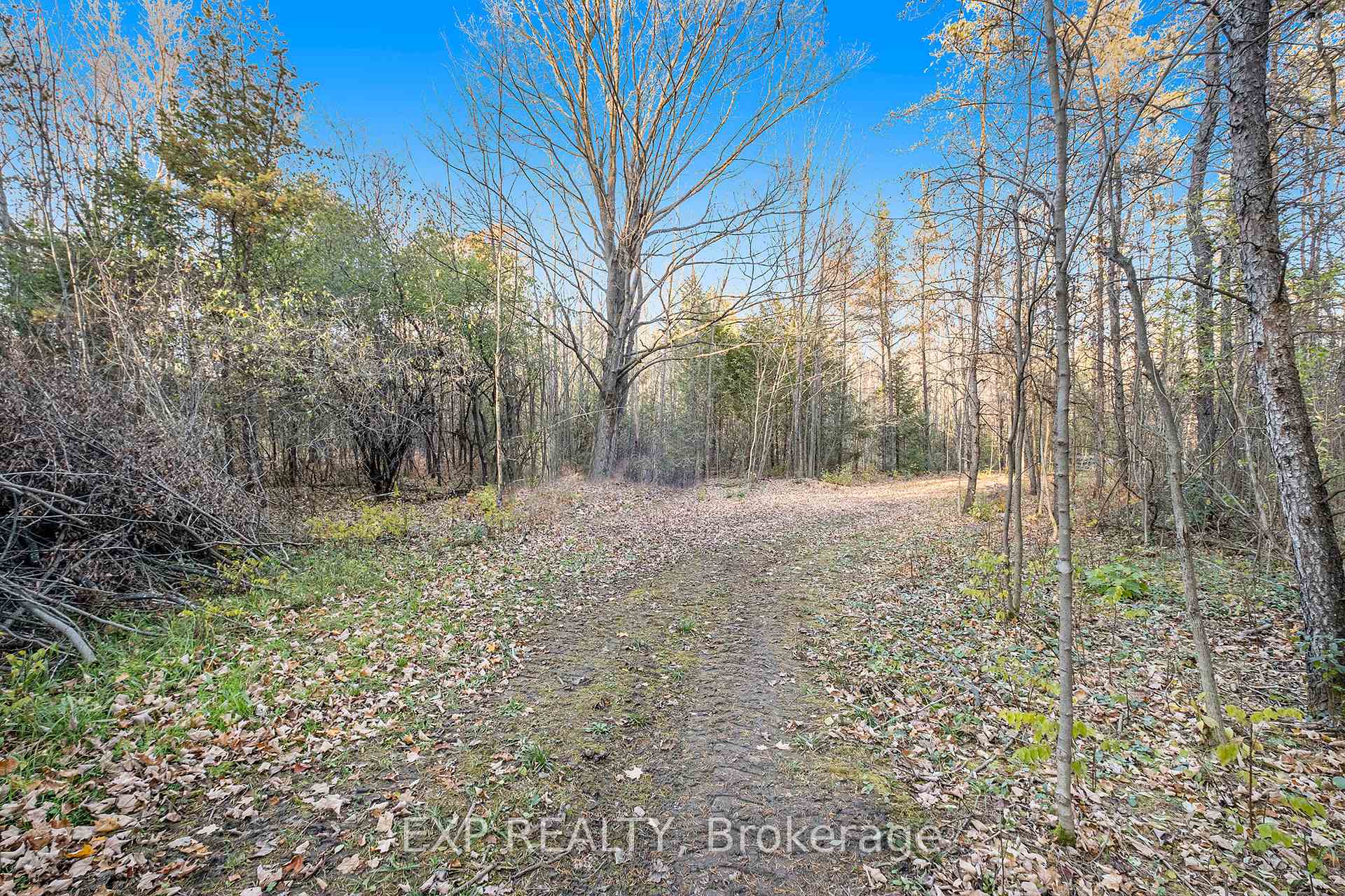 Photo 12 of 8014 Parkway Road, Ottawa, Osgoode Twp North of Reg Rd 6 — HOMEH