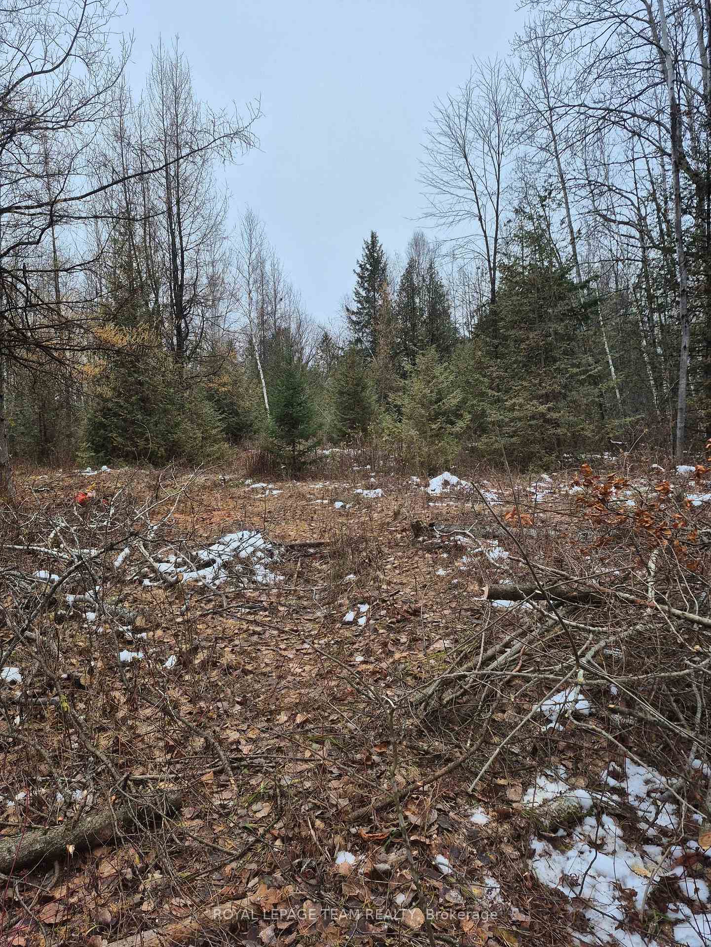 Photo 2 of 2819 Cowell Road, Ottawa, Rideau Twp S of Reg Rd 6 W of Mccordick Rd. — HOMEH
