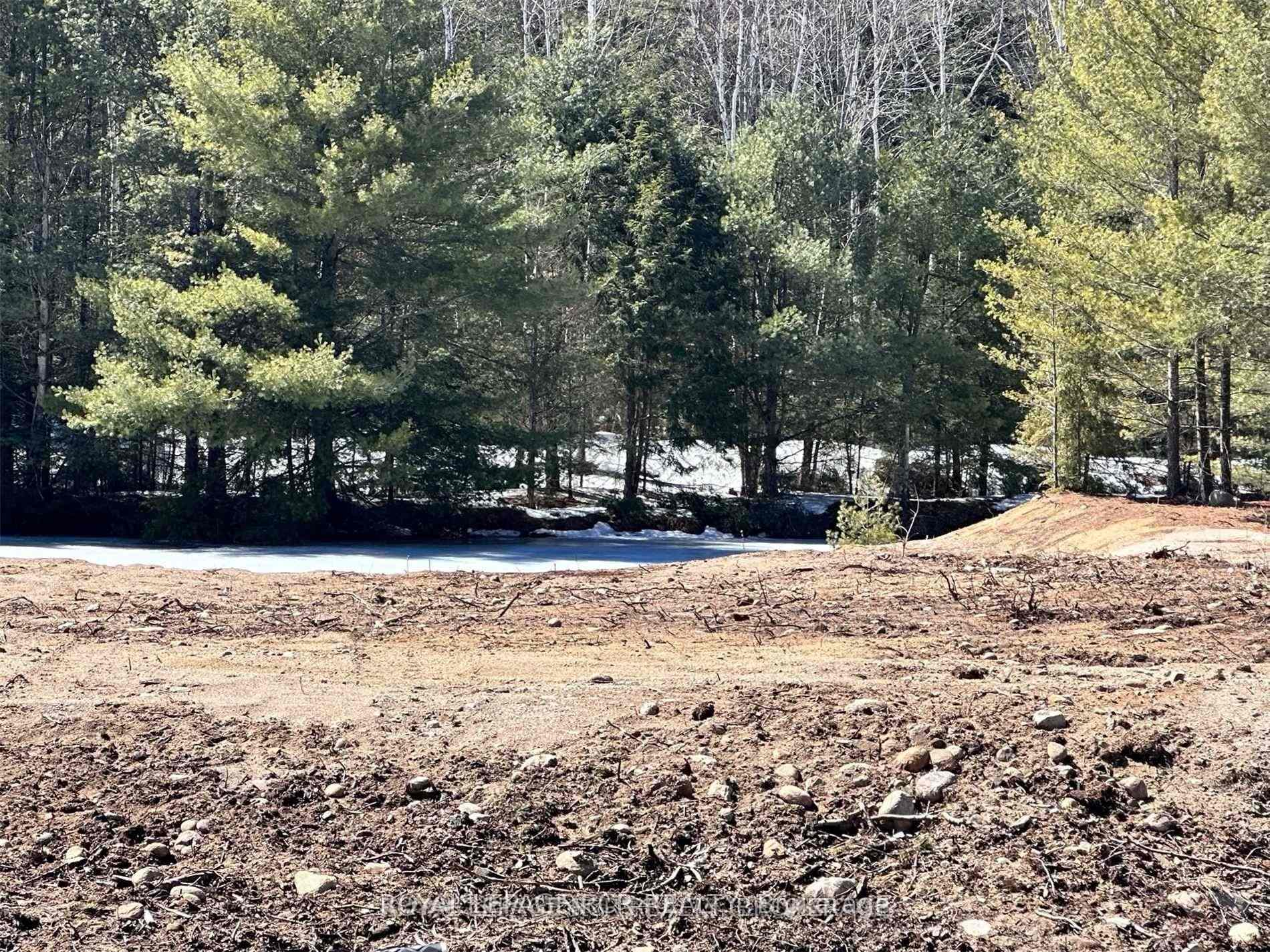 Photo 3 of 1084 Xavier Street, Gravenhurst, Morrison — HOMEH