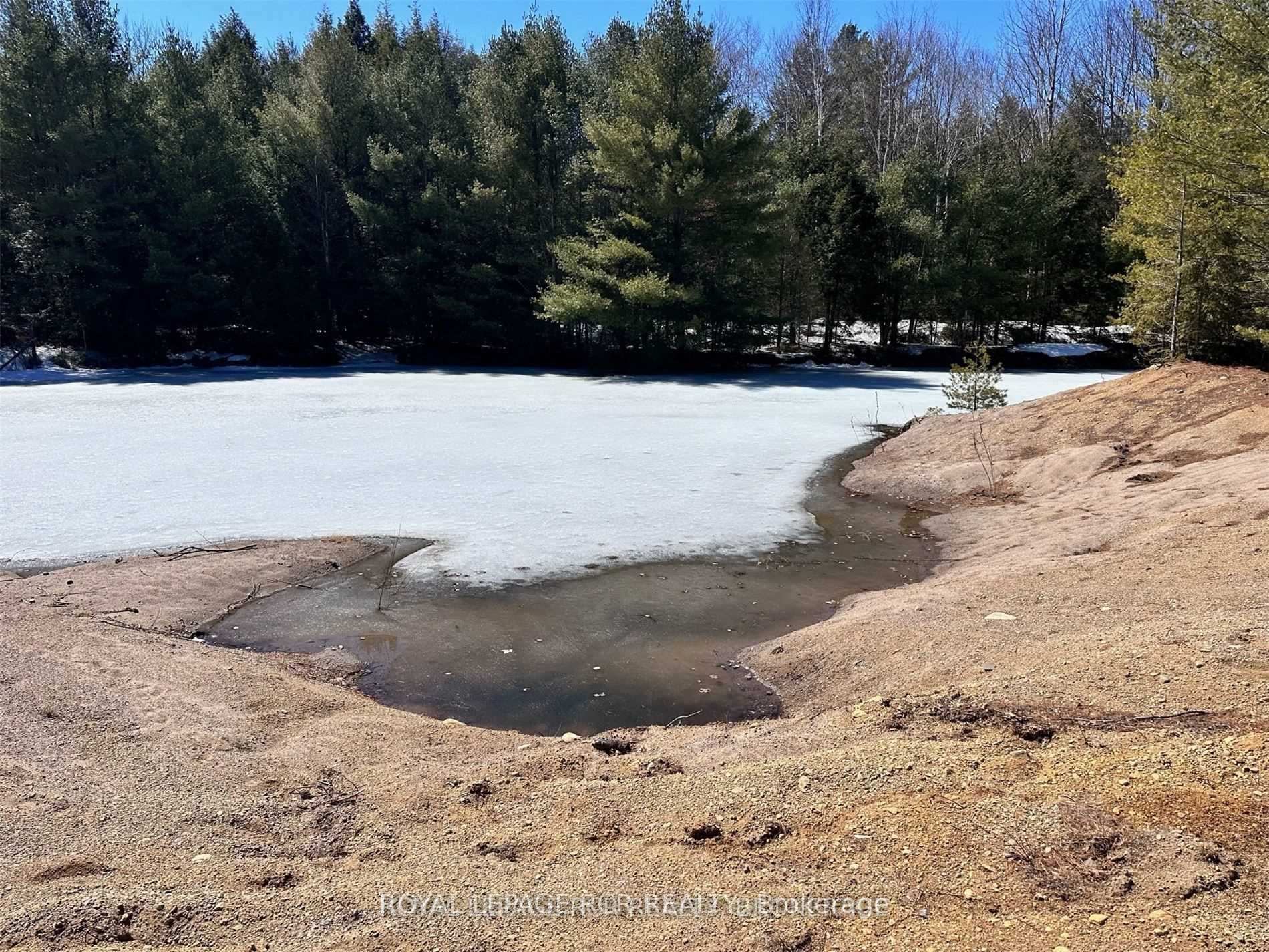 Photo 5 of 1084 Xavier Street, Gravenhurst, Morrison — HOMEH
