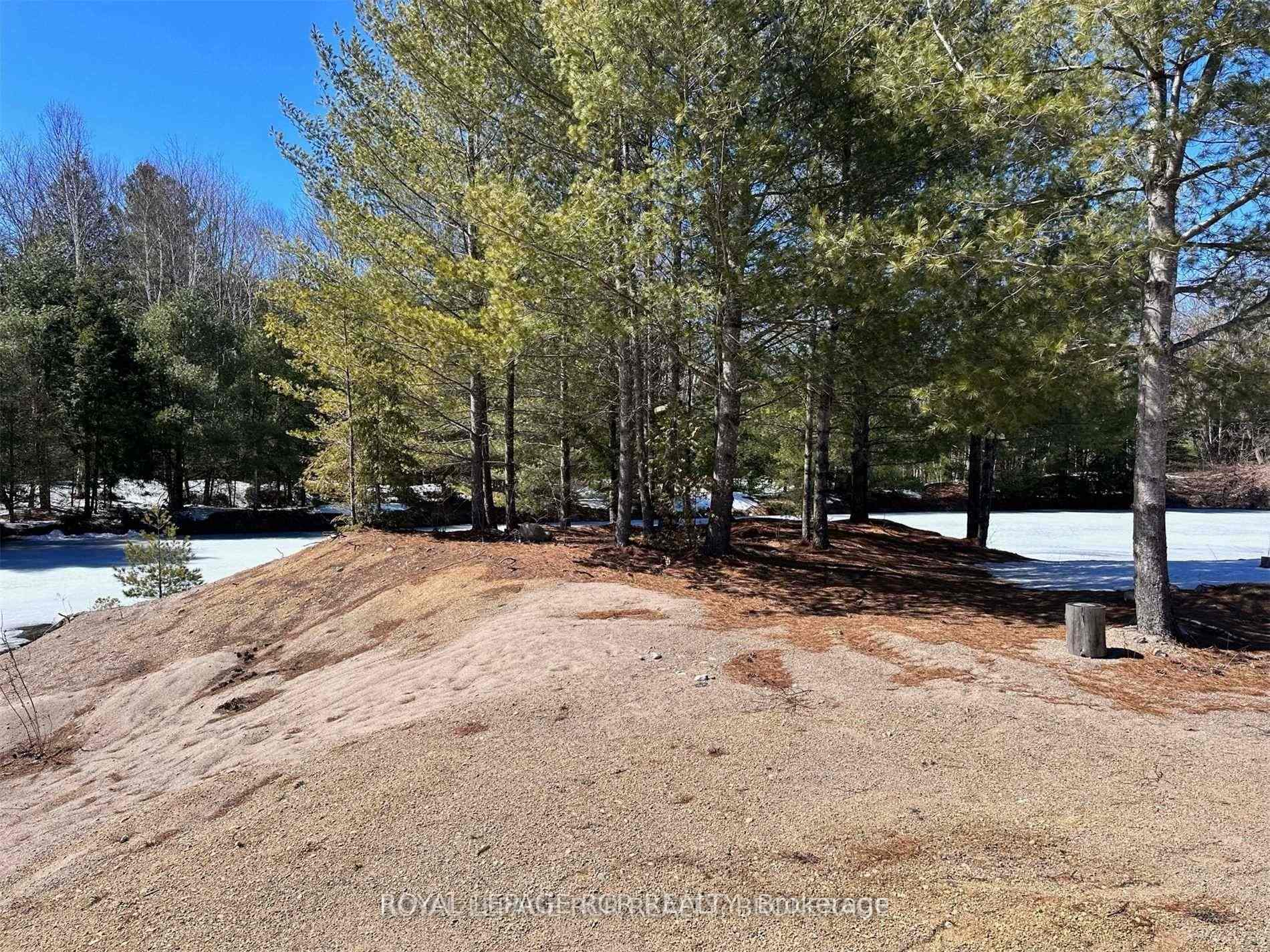 Photo 6 of 1084 Xavier Street, Gravenhurst, Morrison — HOMEH