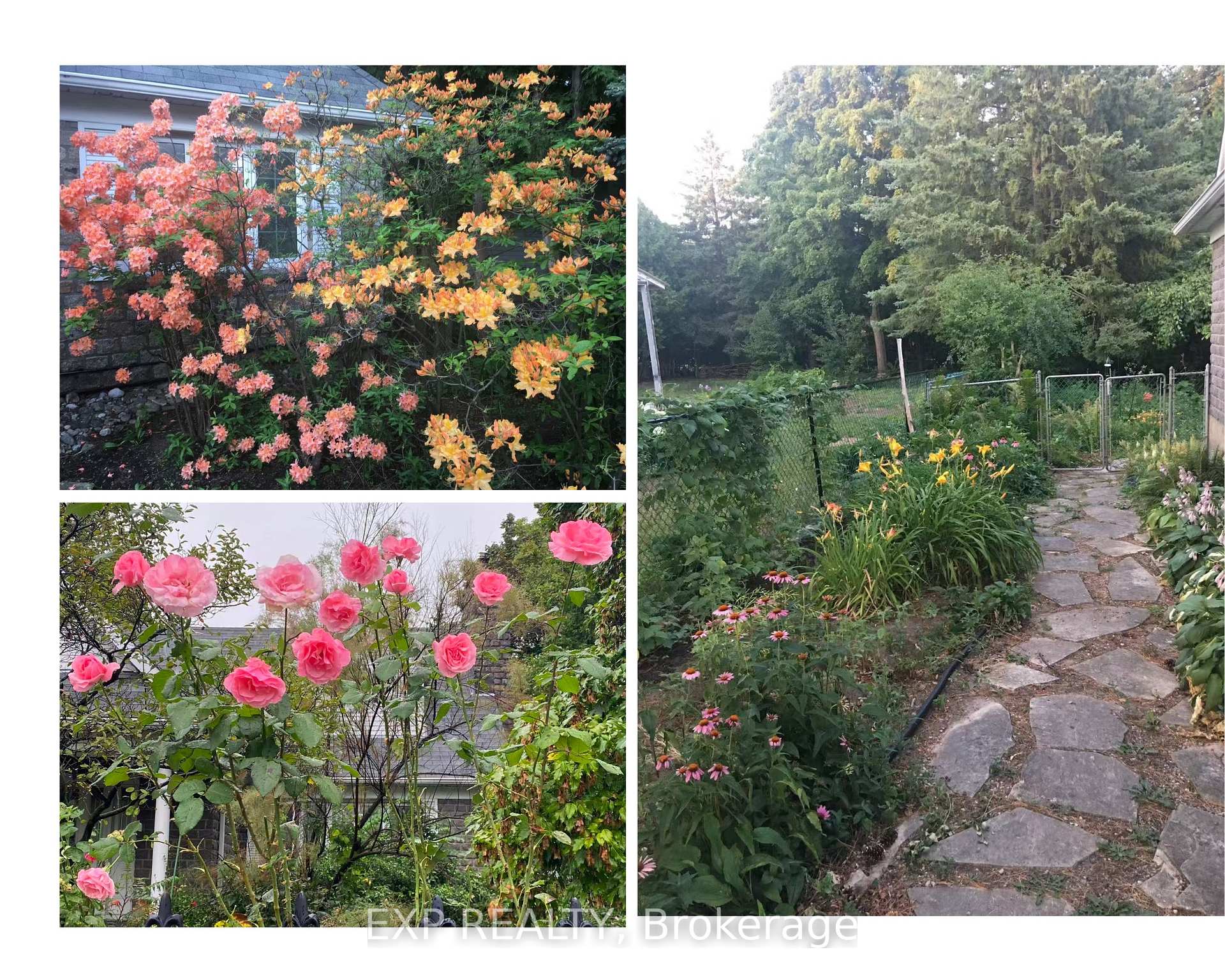 Photo 6 of 661 Blair Road, Ottawa, Rothwell Heights — HOMEH
