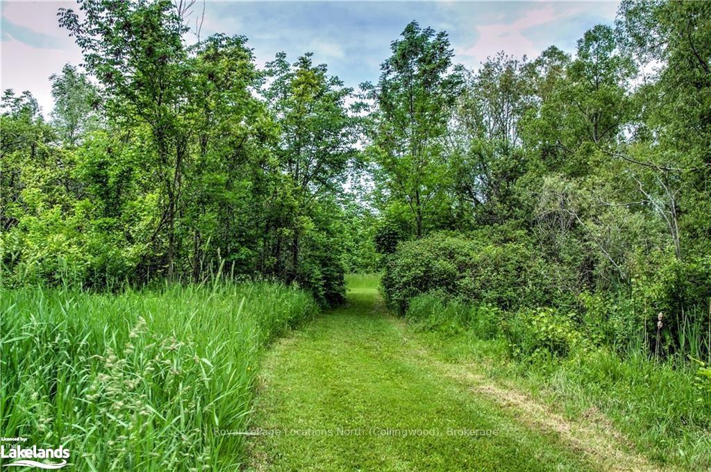 Photo 13 of 3202 County 124 Road, Clearview, Rural Clearview — HOMEH