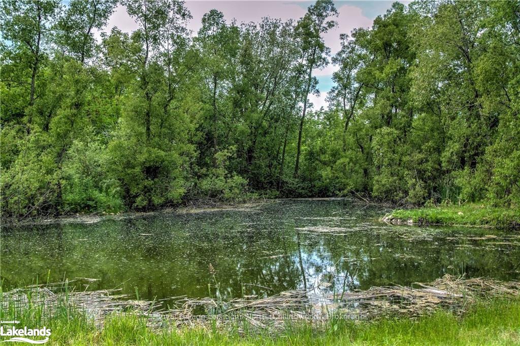 Photo 15 of 3202 County 124 Road, Clearview, Rural Clearview — HOMEH