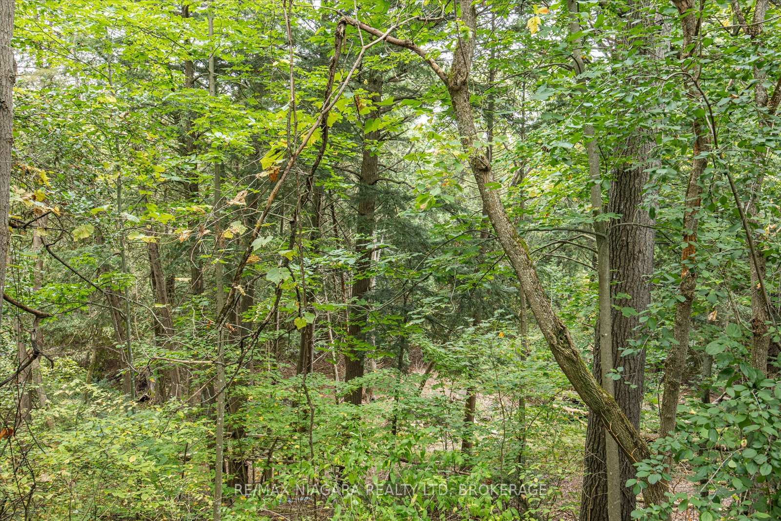 Photo 39 of 4581 County Rd 45, Hamilton Township, Baltimore — HOMEH