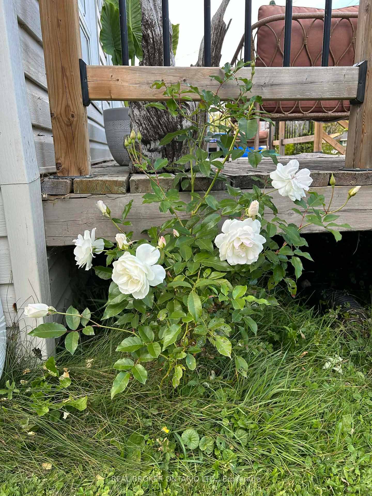 Photo 43 of 3406 Lee Avenue, Severn, West Shore — HOMEH