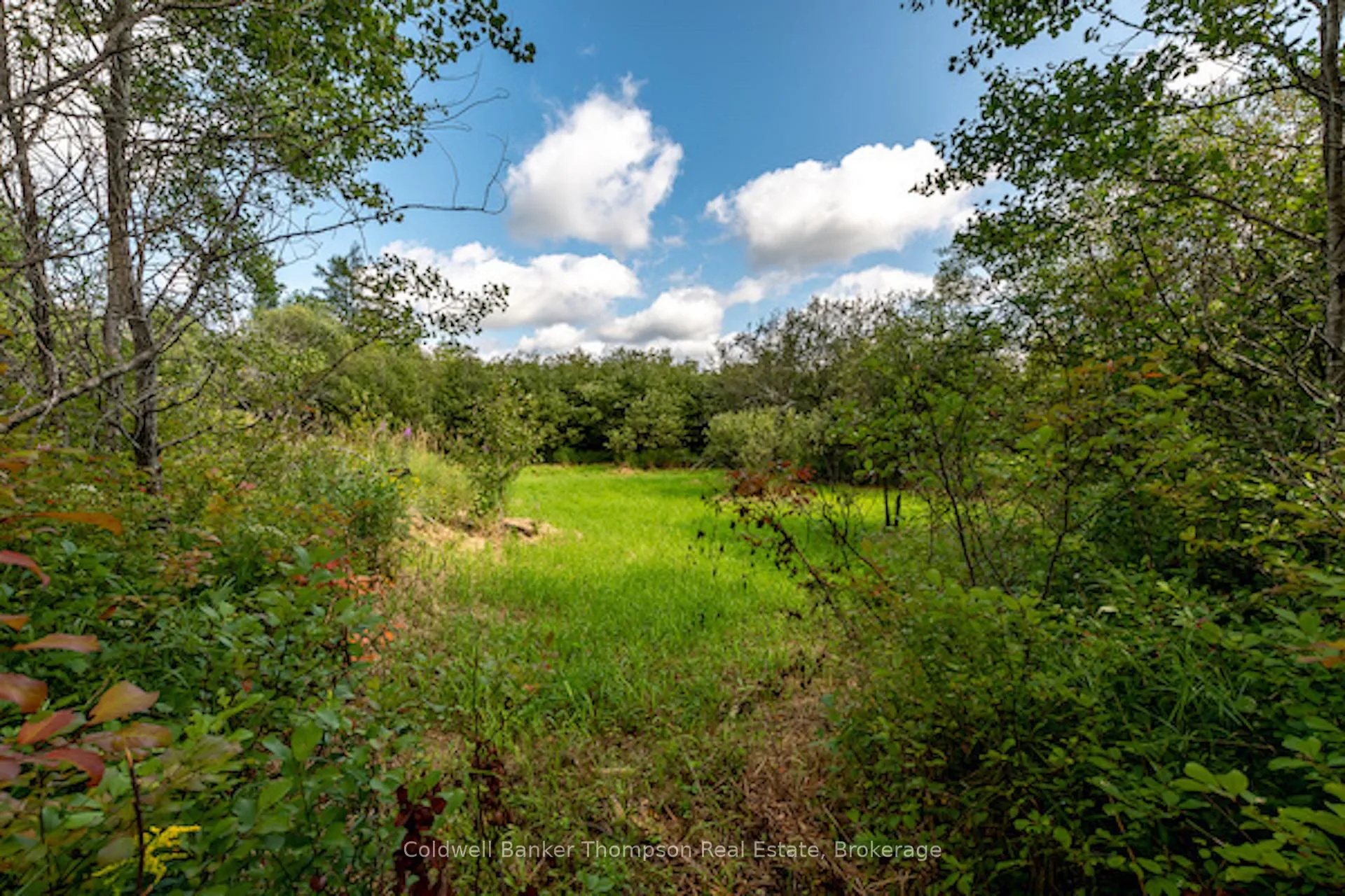 Photo 7 of 2311 592 Highway N, Perry, Emsdale — HOMEH