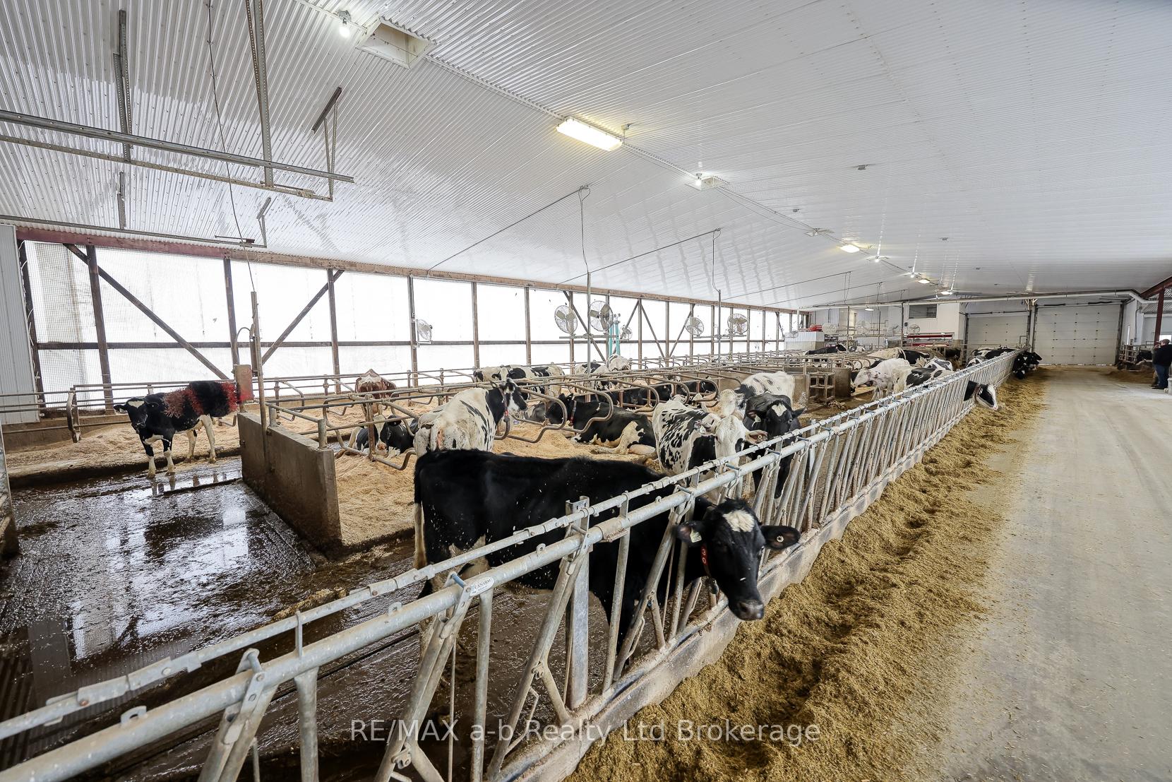 Photo 14 of 1011 Bornish Drive, North Middlesex, Rural North Middlesex — HOMEH