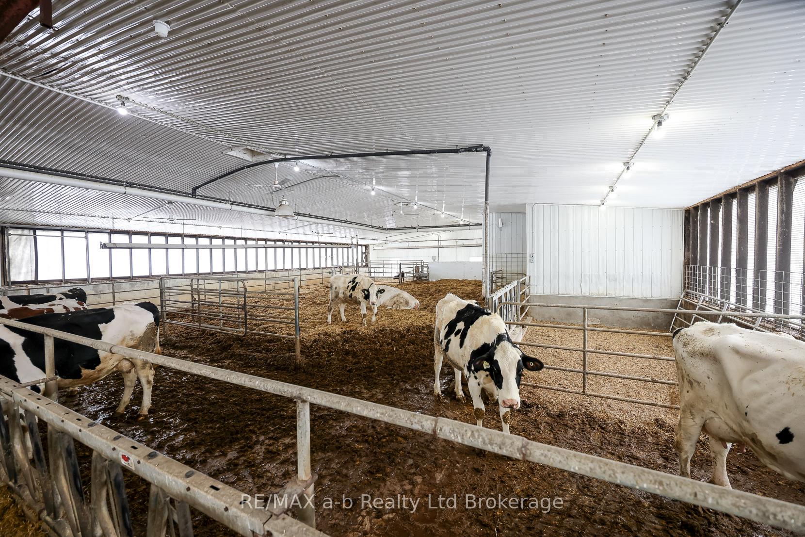 Photo 18 of 1011 Bornish Drive, North Middlesex, Rural North Middlesex — HOMEH
