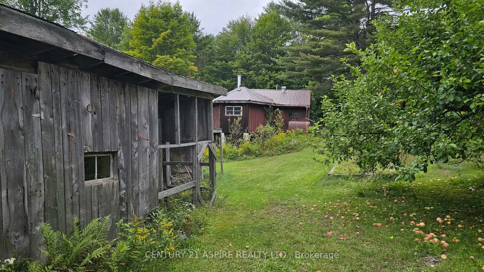Photo 82 of 72 Maplewood Road, Hastings Highlands, Bangor Ward — HOMEH