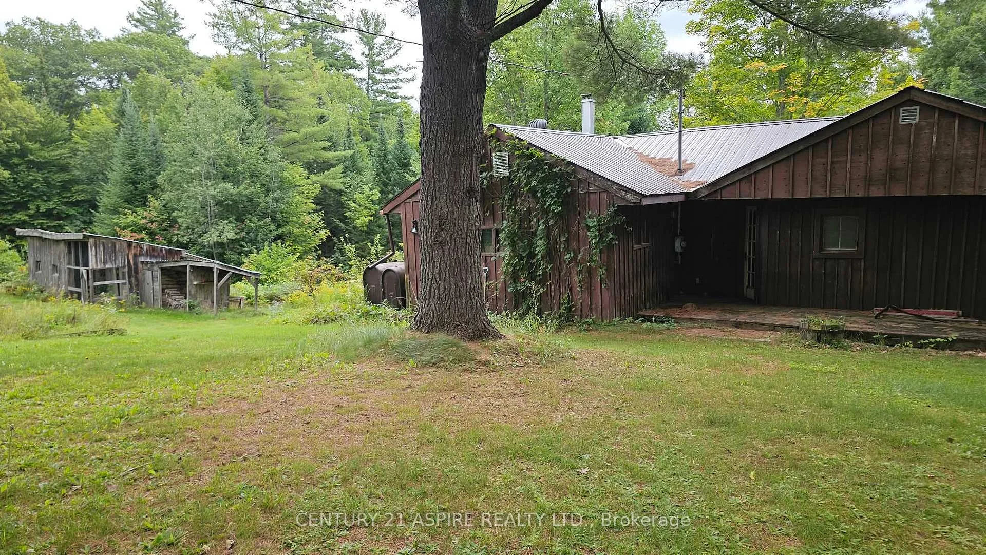 Photo 85 of 72 Maplewood Road, Hastings Highlands, Bangor Ward — HOMEH