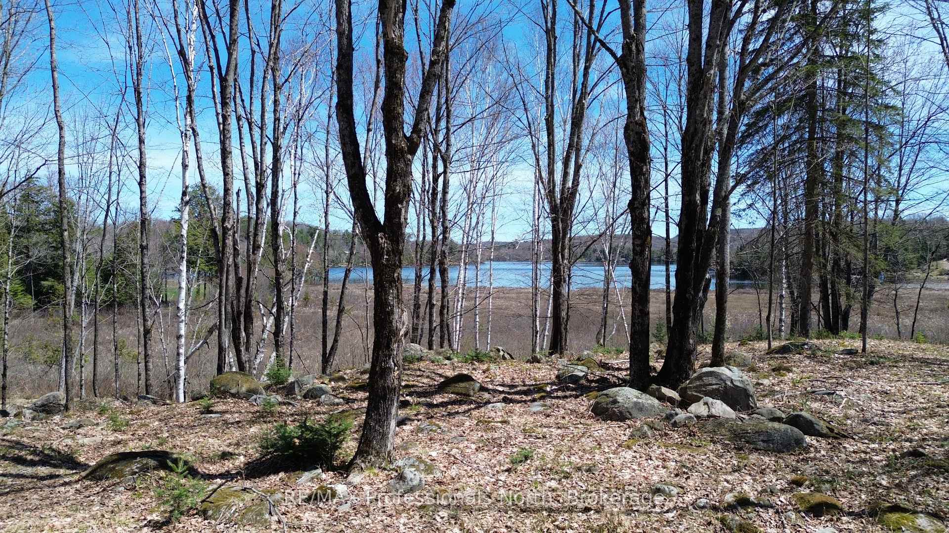 Front of Lot 4 Peninsula Road