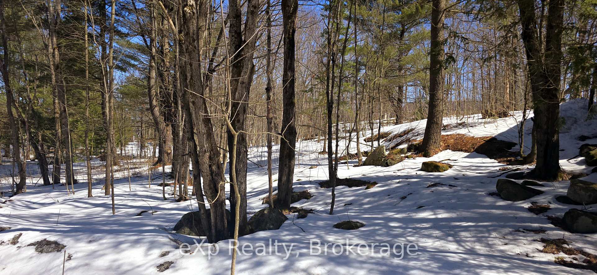 Photo 1 of 9 Lakeview Crescent, McKellar — HOMEH