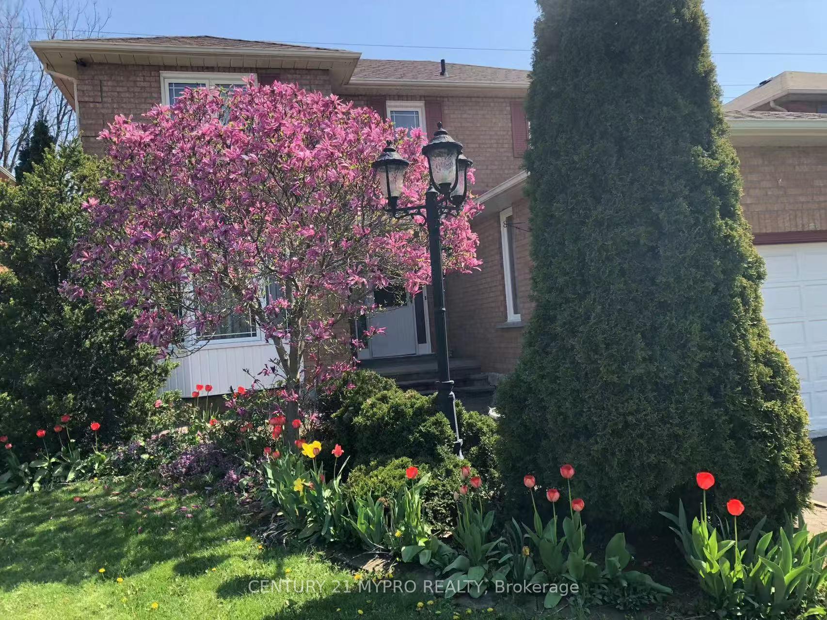 Photo 3 of 39 Ingleborough Drive, Whitby, Blue Grass Meadows — HOMEH