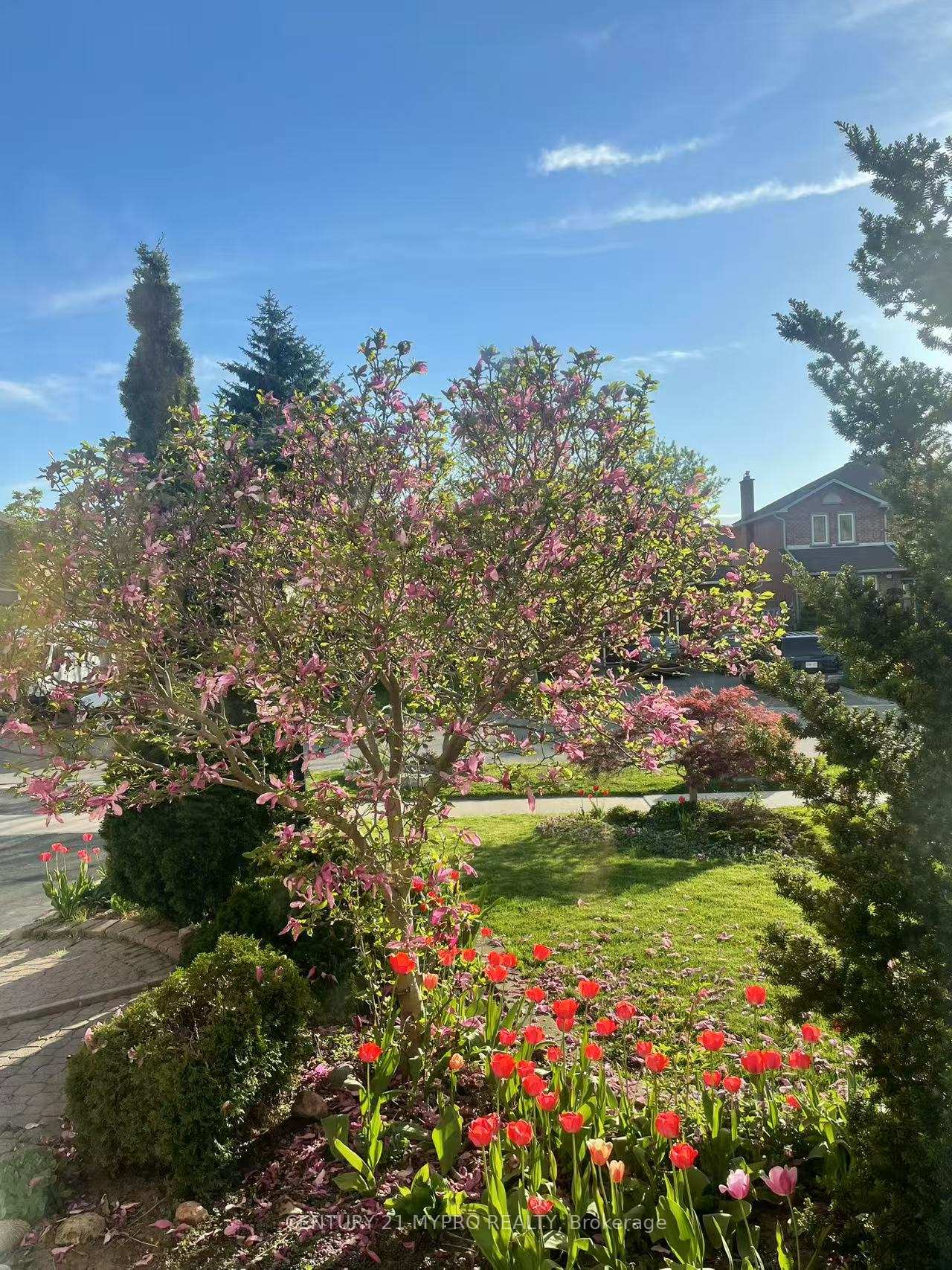 Photo 33 of 39 Ingleborough Drive, Whitby, Blue Grass Meadows — HOMEH