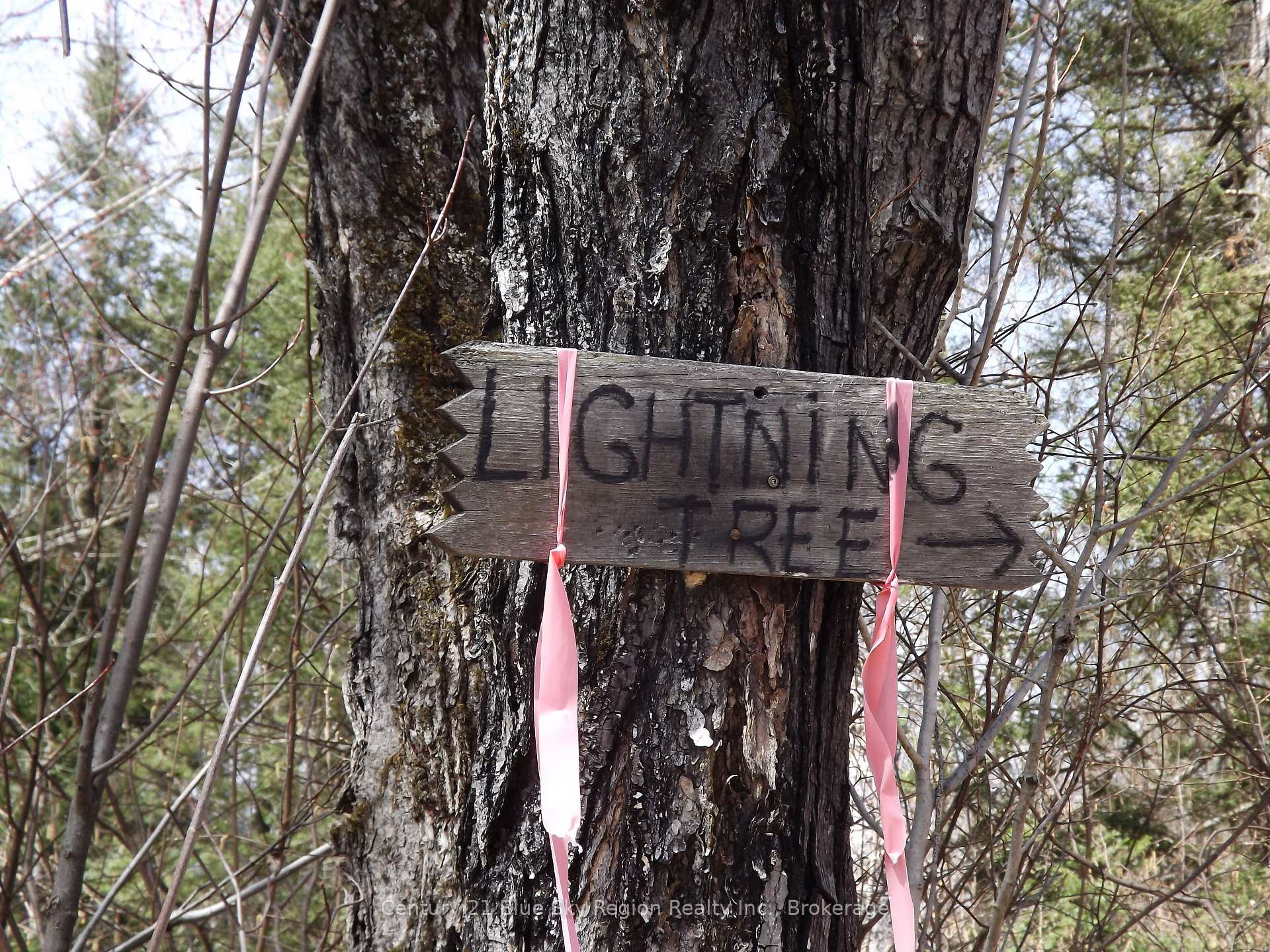Photo 21 of 2716 Highway 17 E, East Ferris — HOMEH