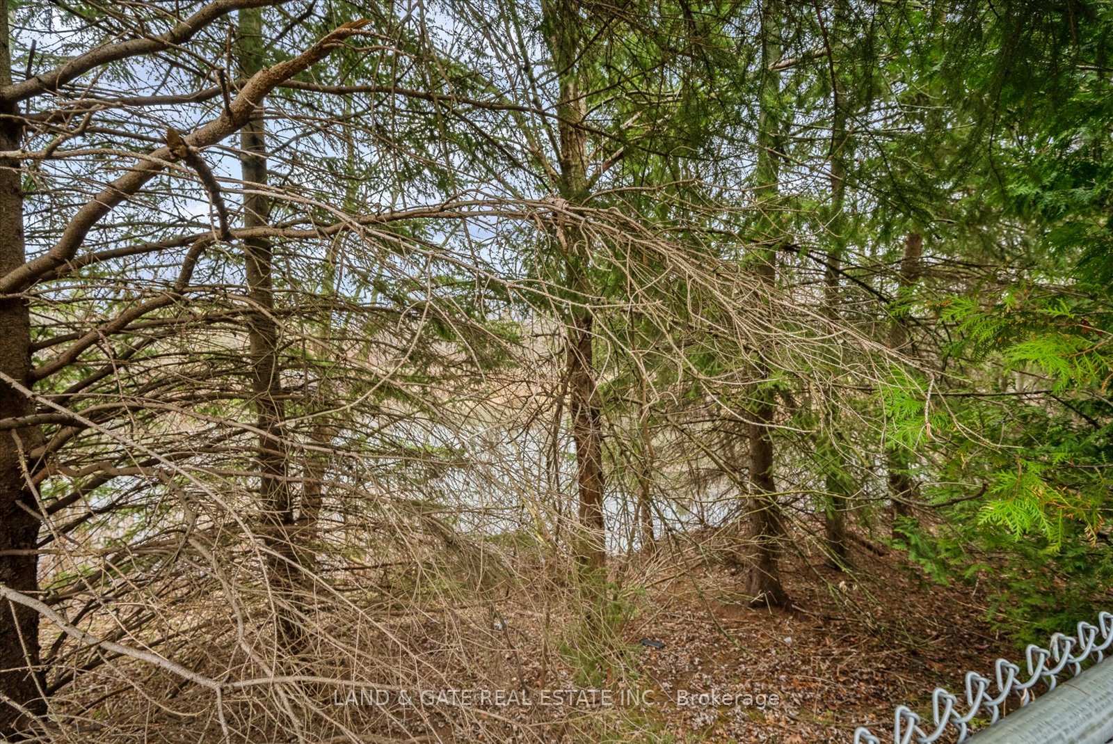 Photo 44 of 144 Smales Drive, Ajax, Central — HOMEH