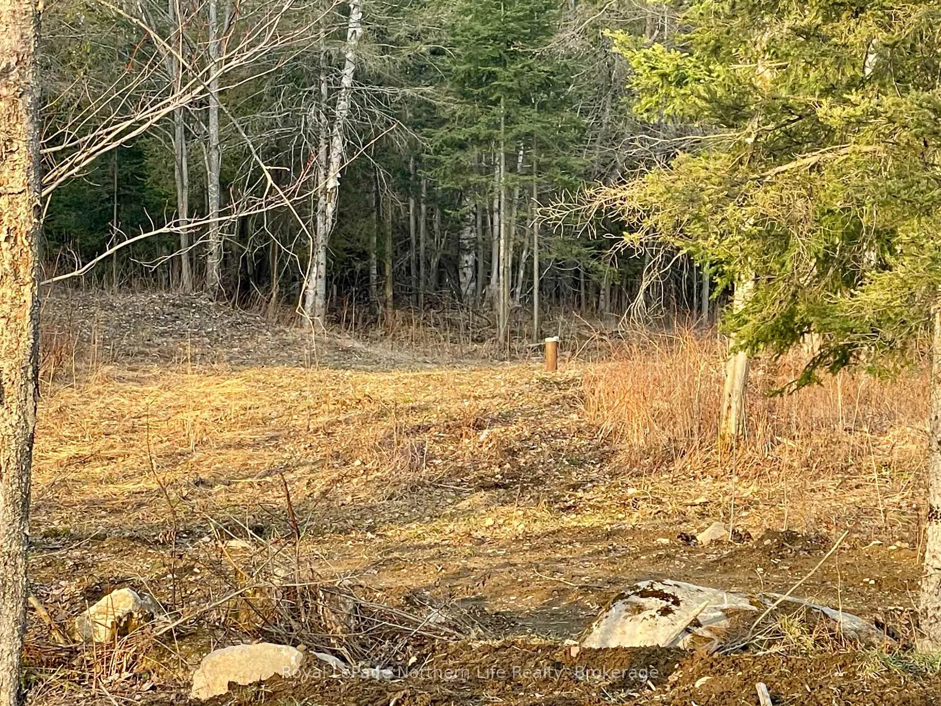 Photo 6 of Lot 5 Eric Street, Bonfield — HOMEH
