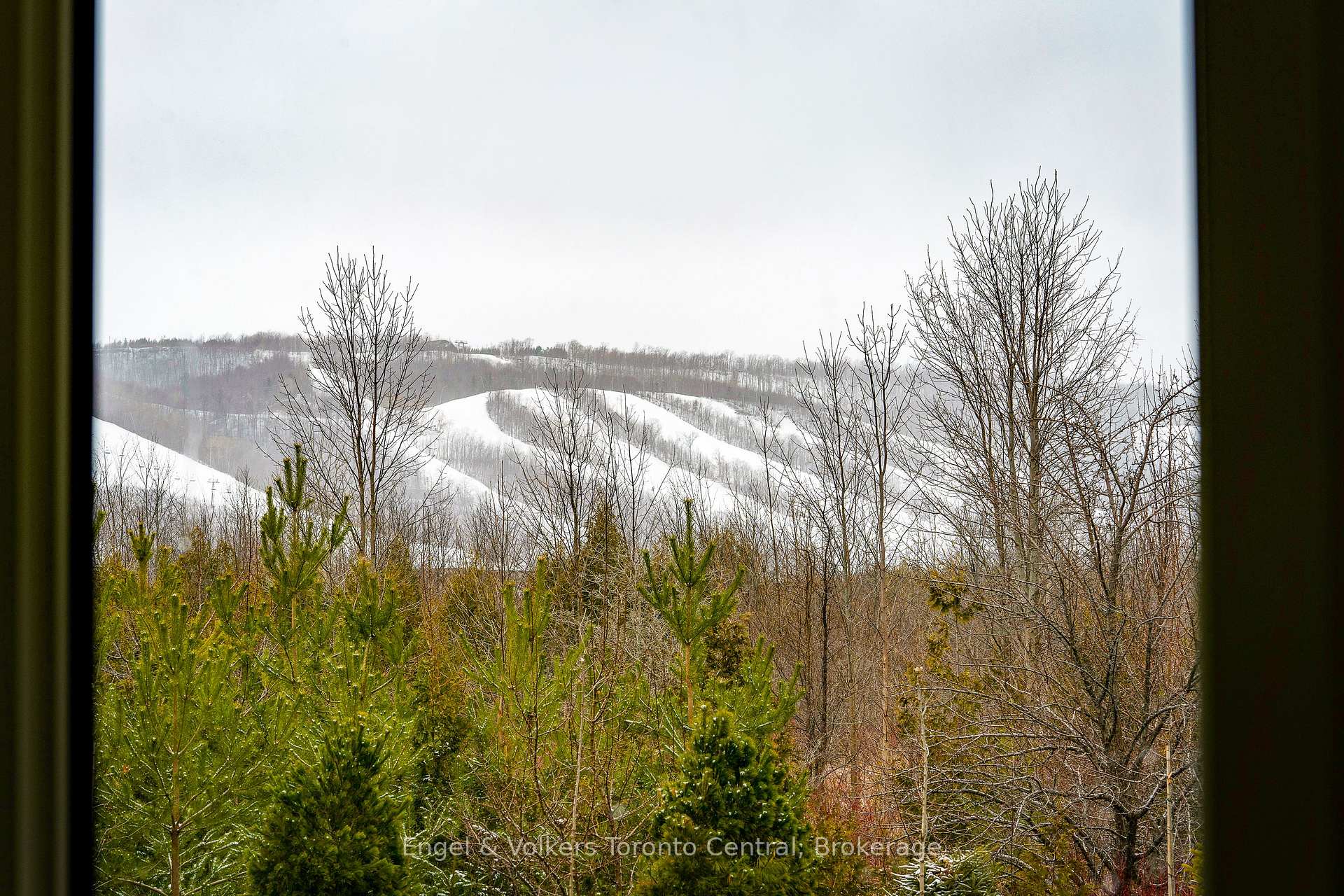 Photo 31 of Unit 105, 12 Beausoleil Lane, Blue Mountains — HOMEH