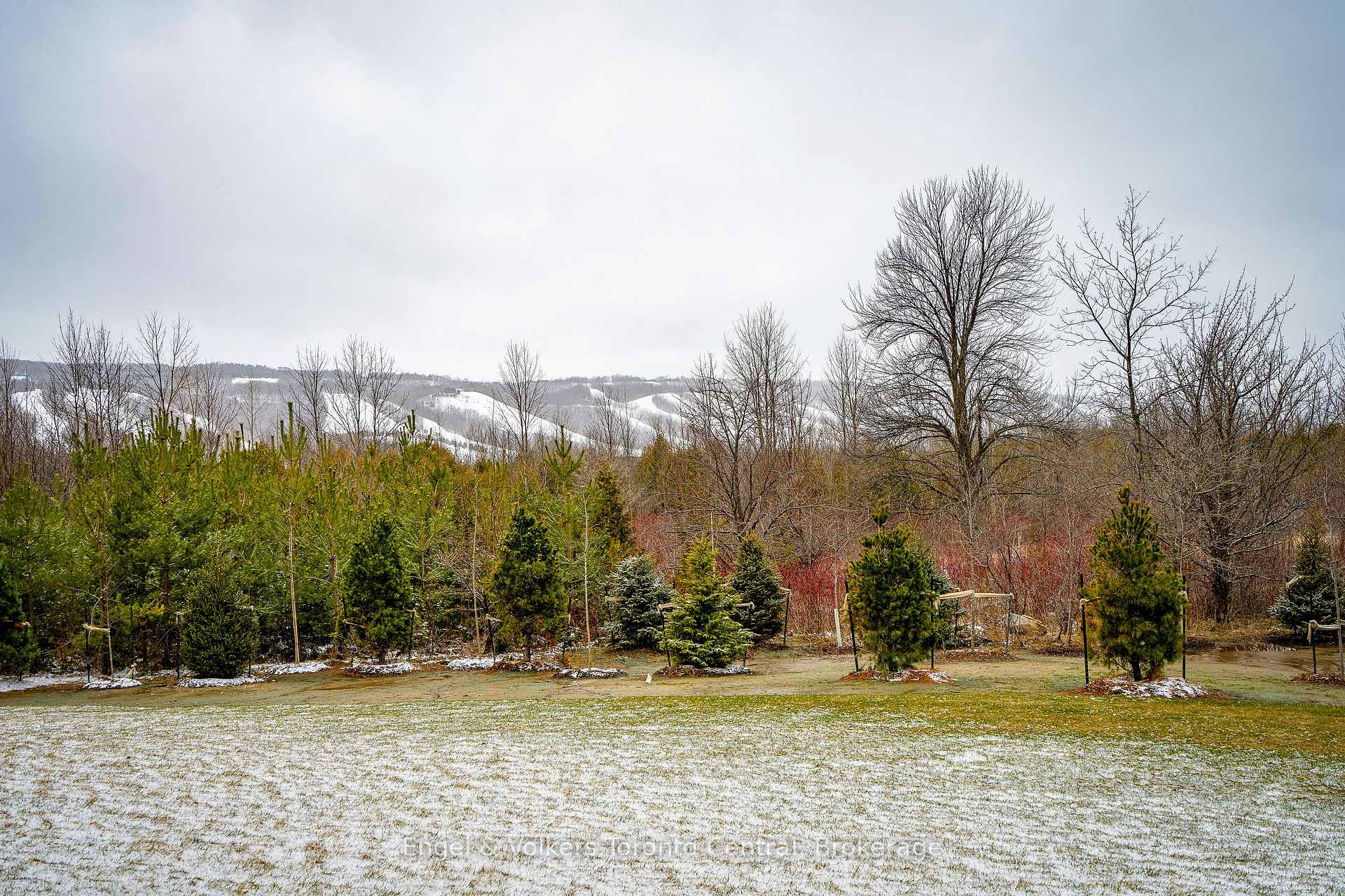 Photo 32 of Unit 105, 12 Beausoleil Lane, Blue Mountains — HOMEH