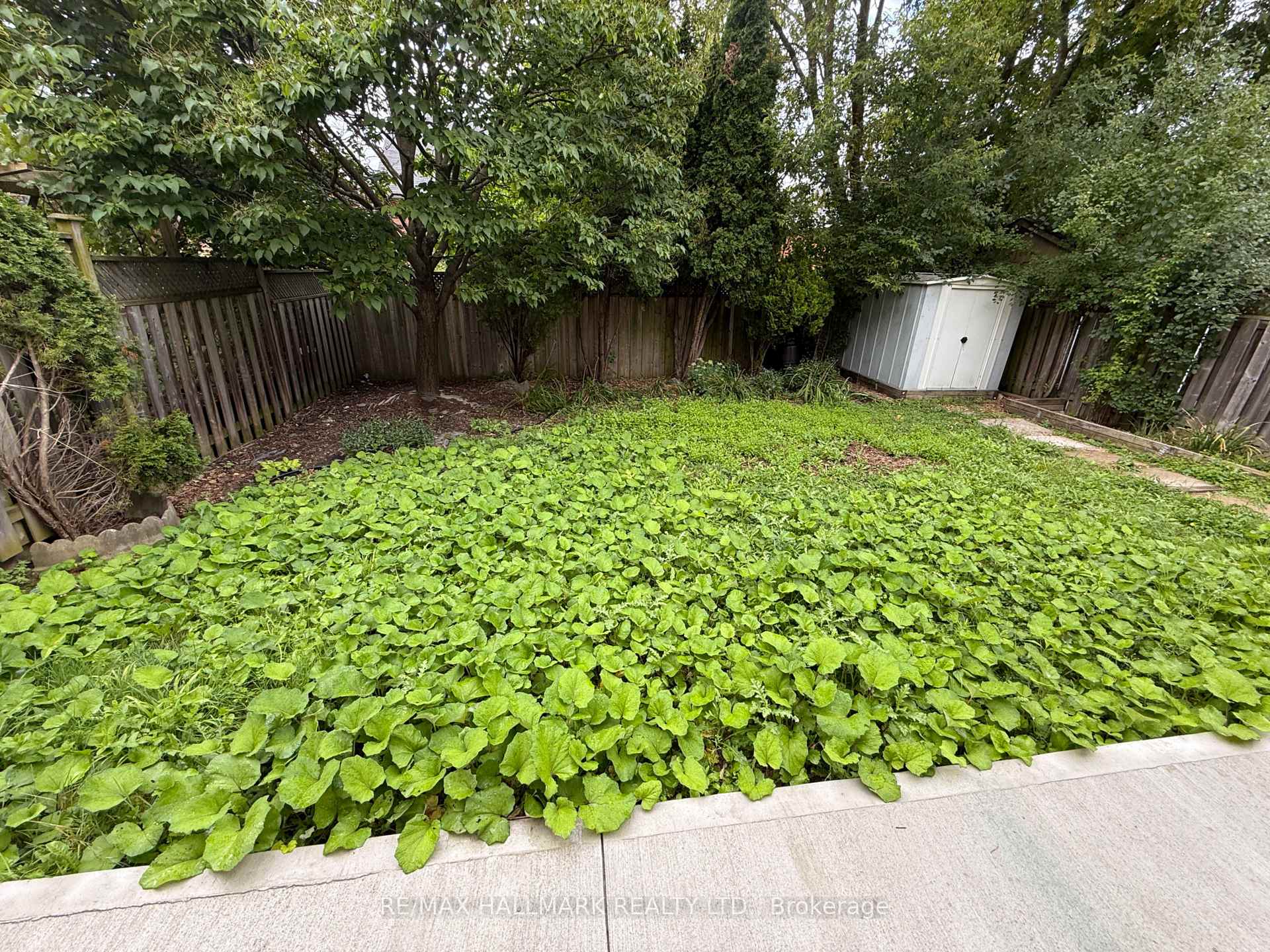 Photo 14 of Unit Bsmt, 256 Stone Road, Aurora, Aurora Grove — HOMEH