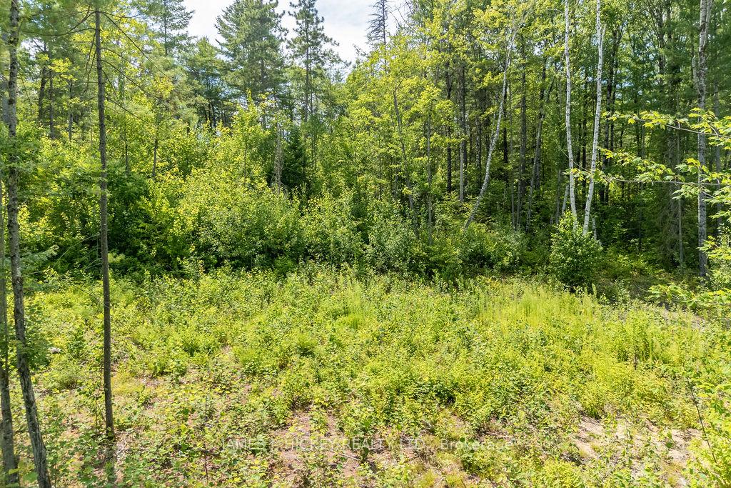 Photo 15 of 00 McAnulty Road, Deep River — HOMEH
