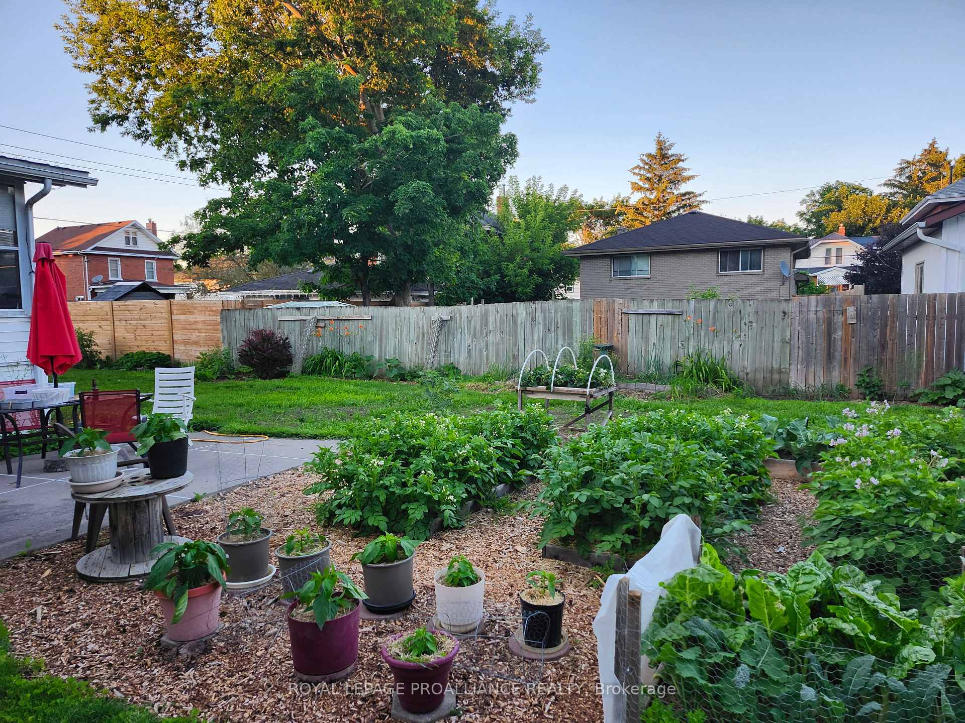 Photo 33 of 107 Catharine Street, Belleville, Belleville Ward — HOMEH