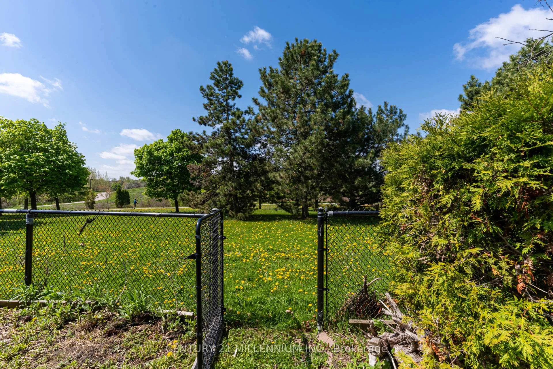 Photo 35 of 56 Nuttall Street, Brampton, Westgate — HOMEH