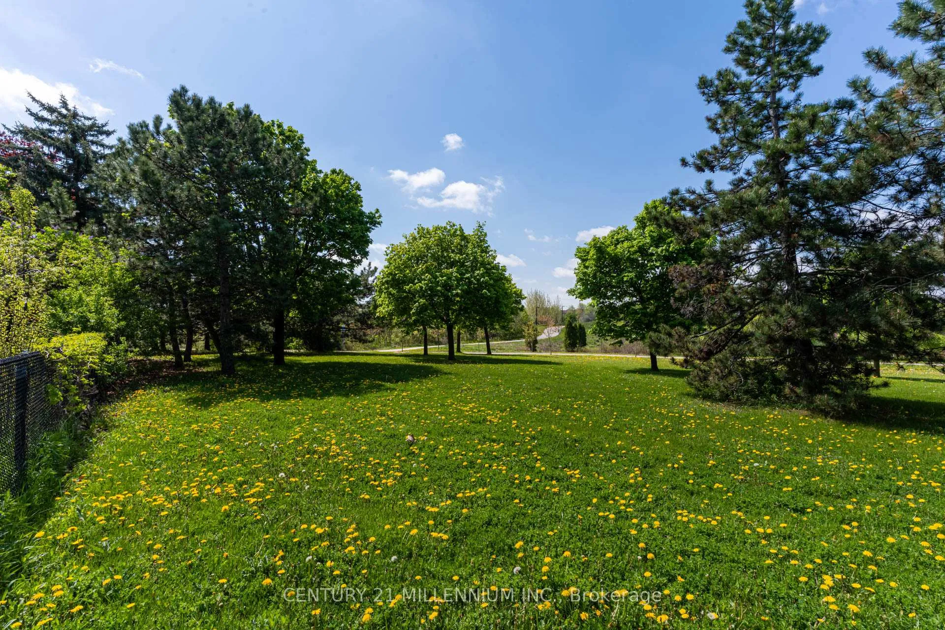 Photo 36 of 56 Nuttall Street, Brampton, Westgate — HOMEH