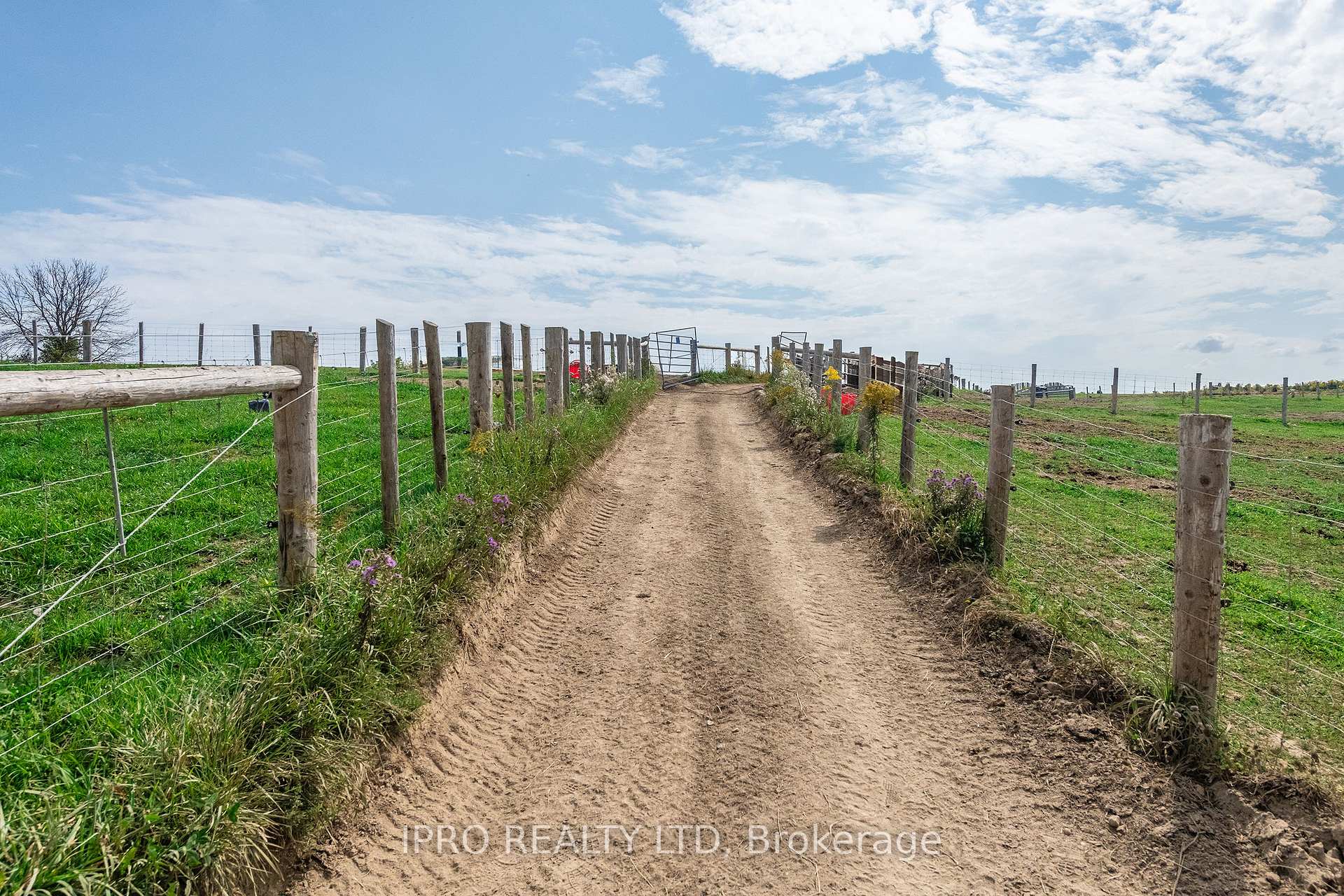 Photo 44 of 6845 19th Side Road, King, Schomberg — HOMEH