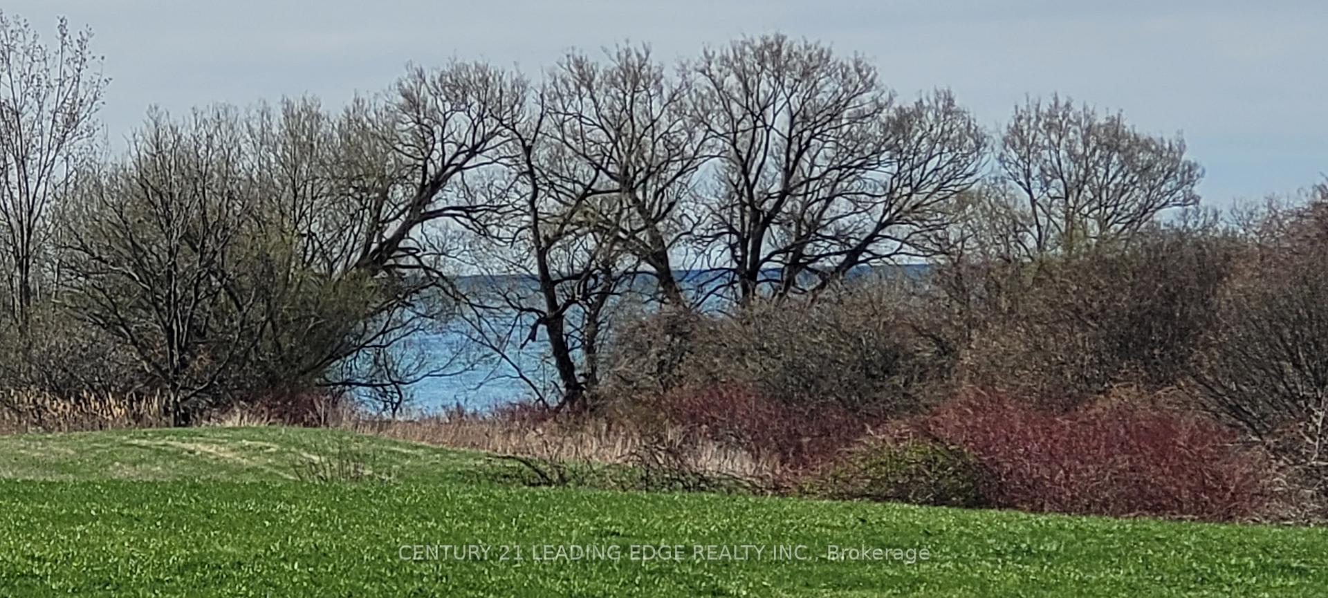 Photo 40 of 5 Eggert Court, Whitby, Port Whitby — HOMEH